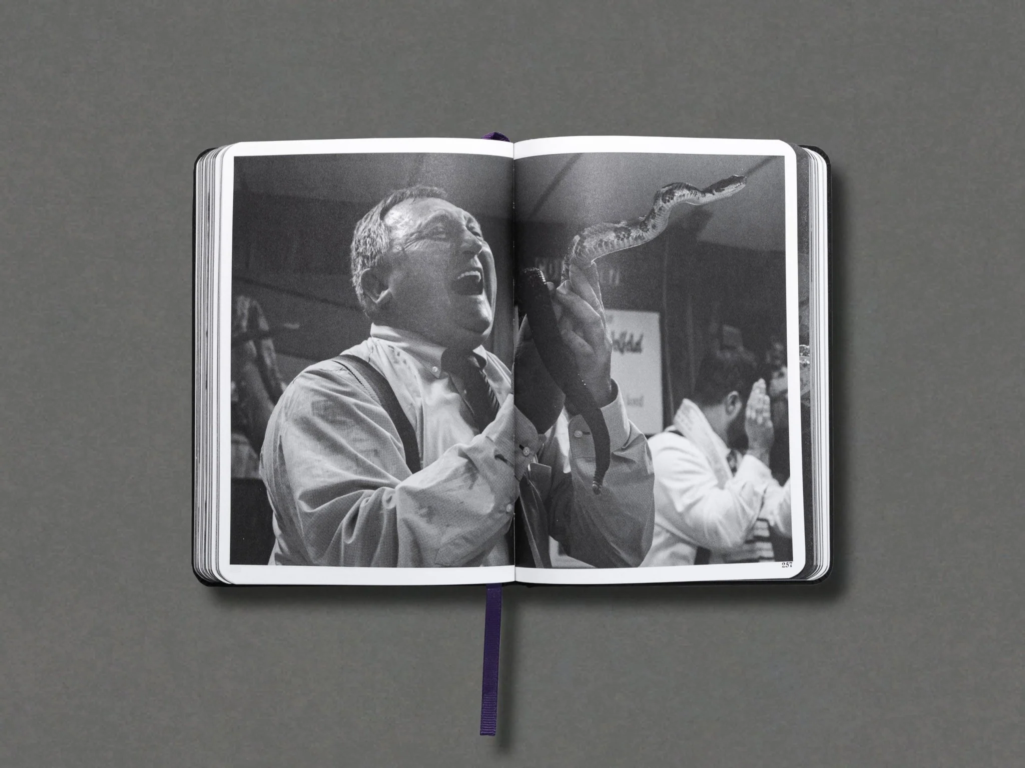GLORYLAND - Special Edition - Image 7