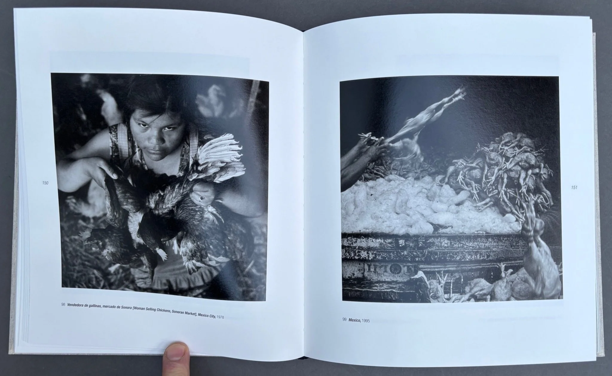 Graciela Iturbide - Image 4