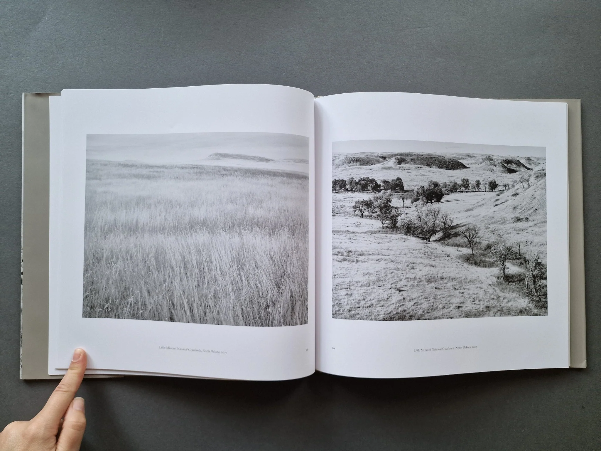 Grasslands (Special slipcased edition with print) - Image 11
