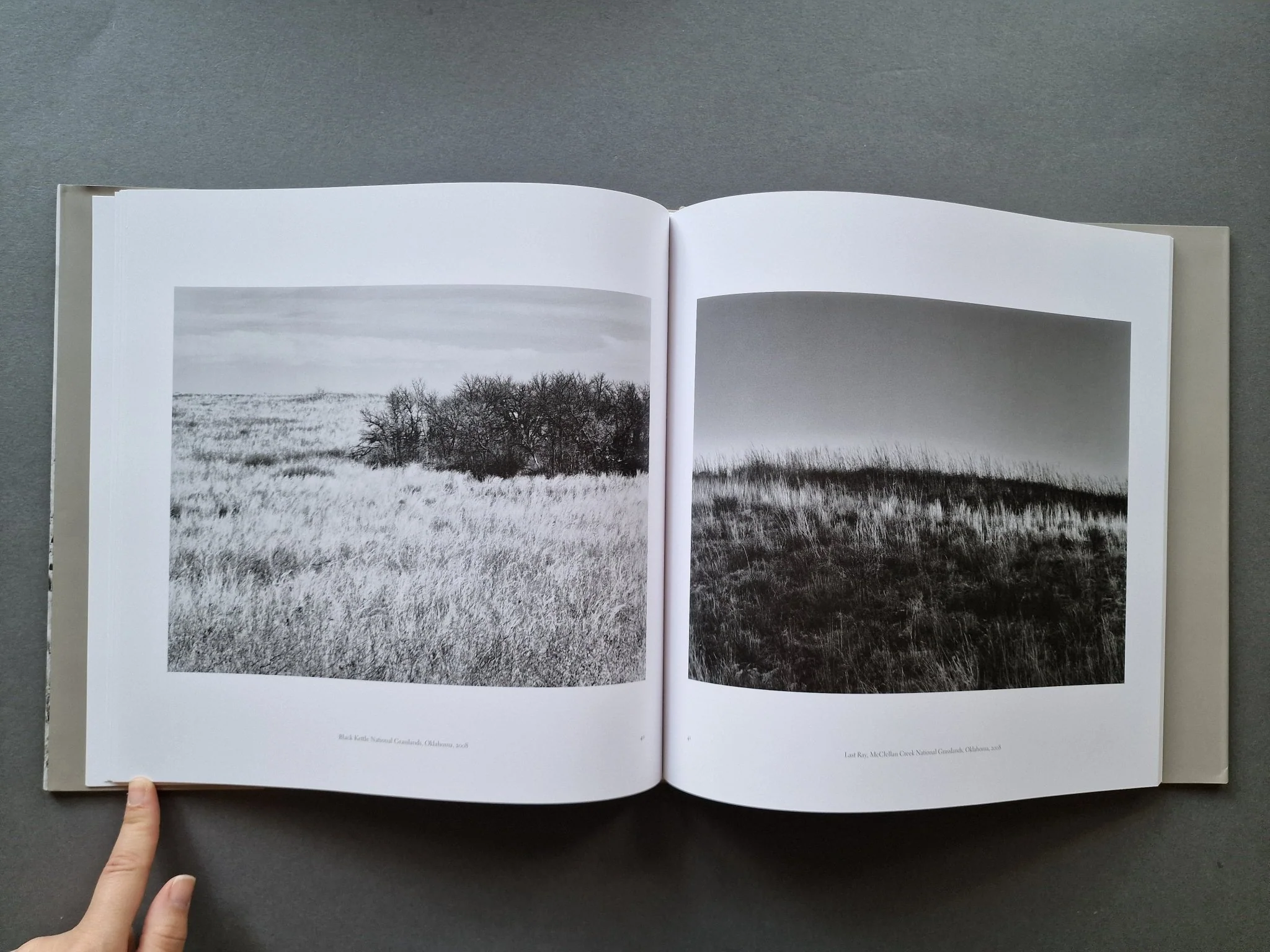 Grasslands (Special slipcased edition with print) - Image 12