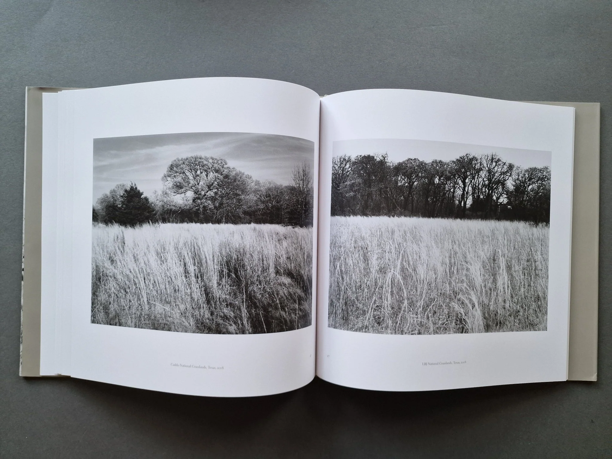 Grasslands (Special slipcased edition with print) - Image 13