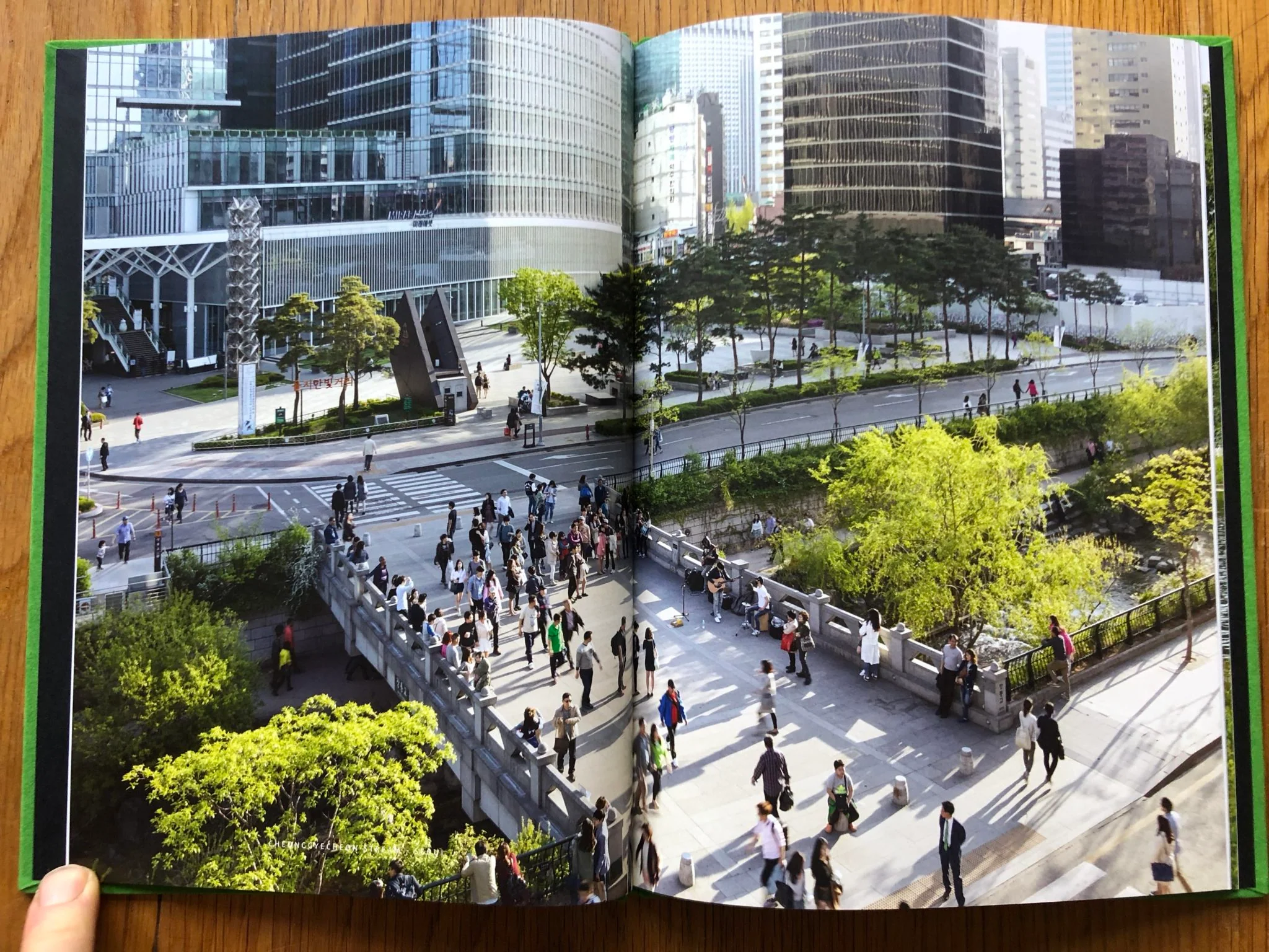 Green Lungs of the City - Image 5