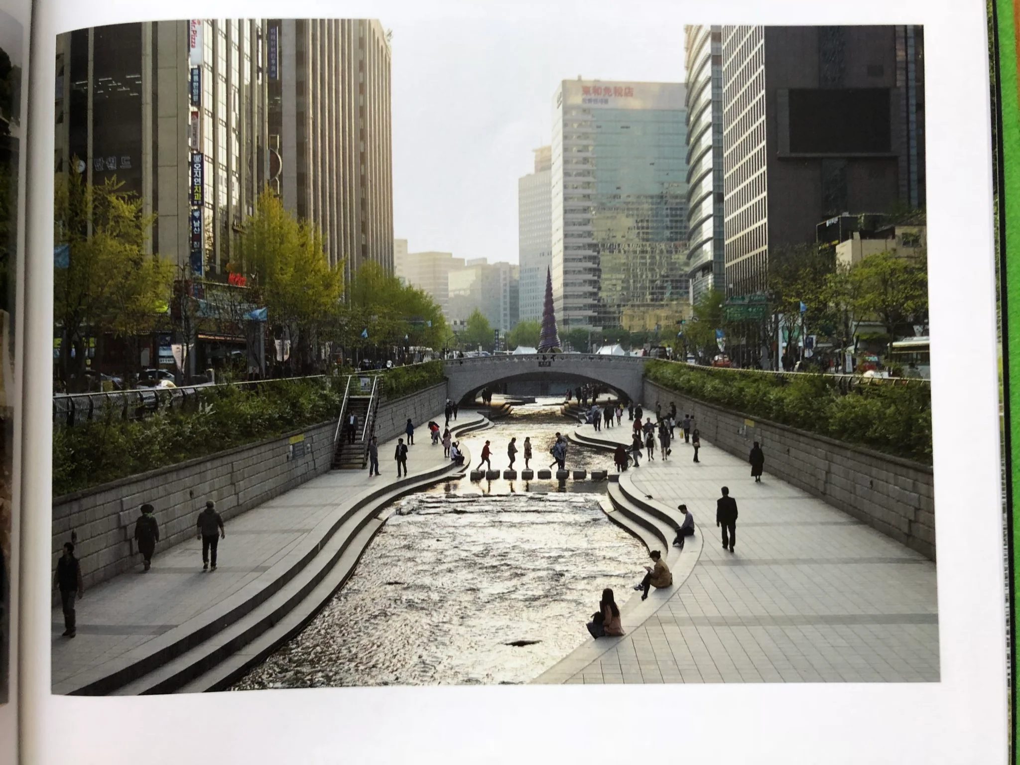 Green Lungs of the City - Image 6