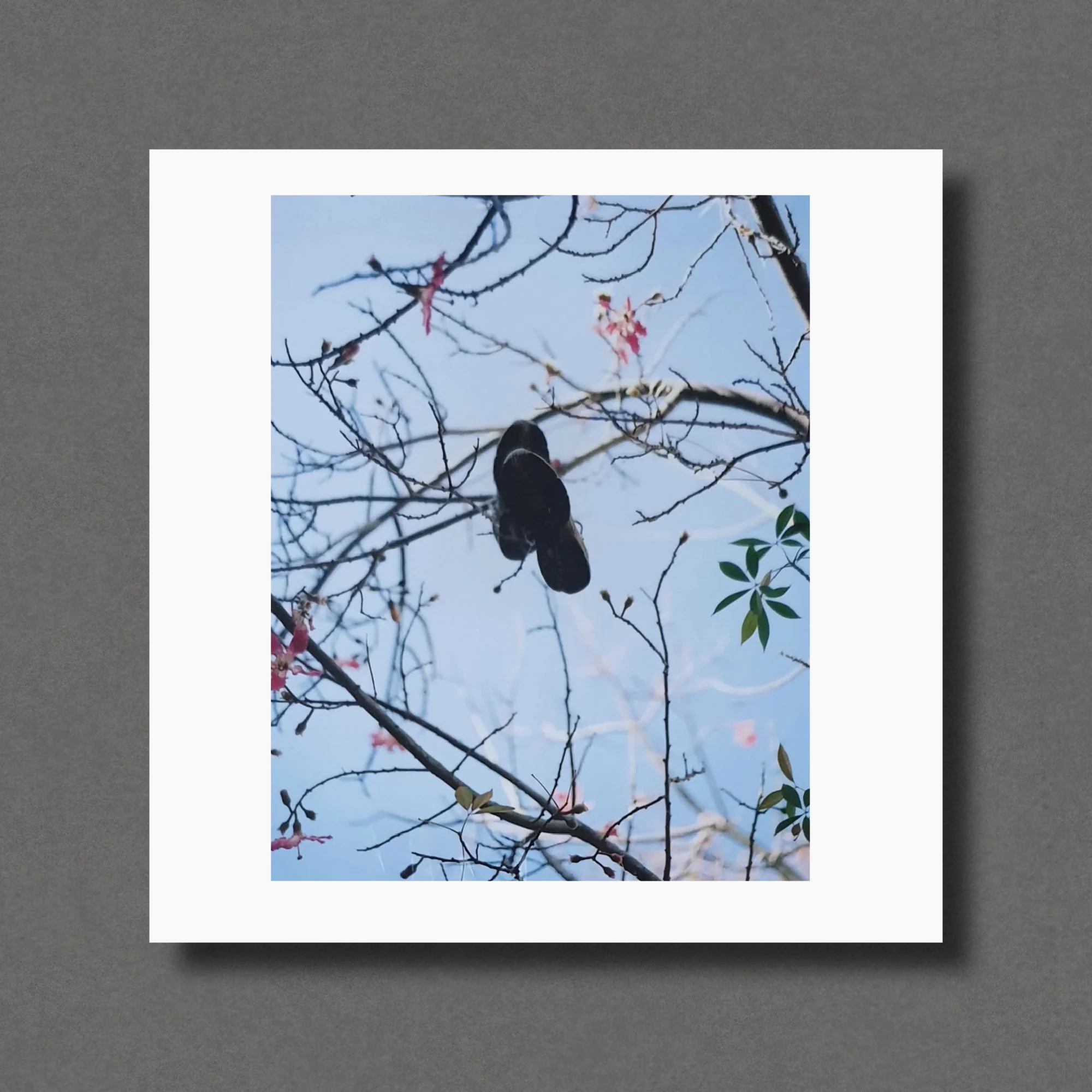 Gregory Halpern Magnum Square Prints - Image 6