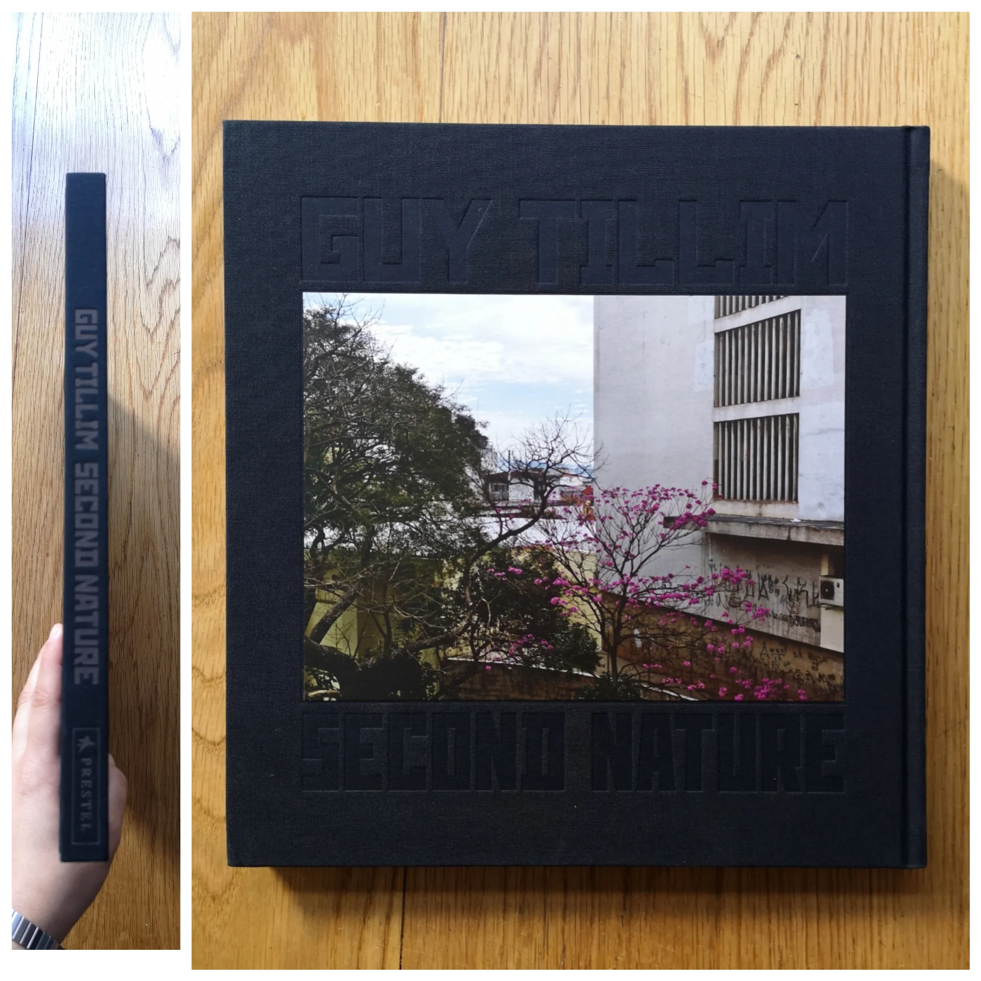 Guy Tillim: Second Nature - Image 7