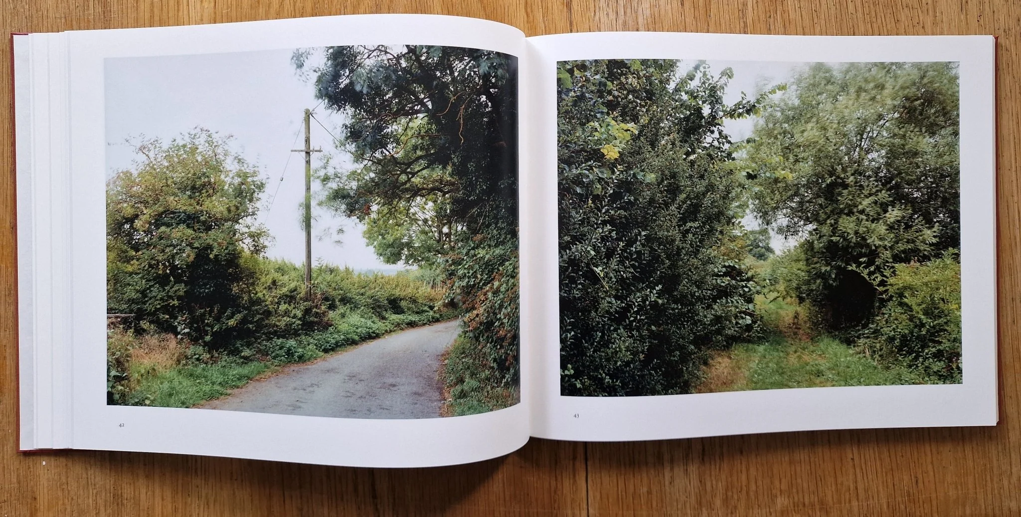 Harrowdown Hill - Image 4