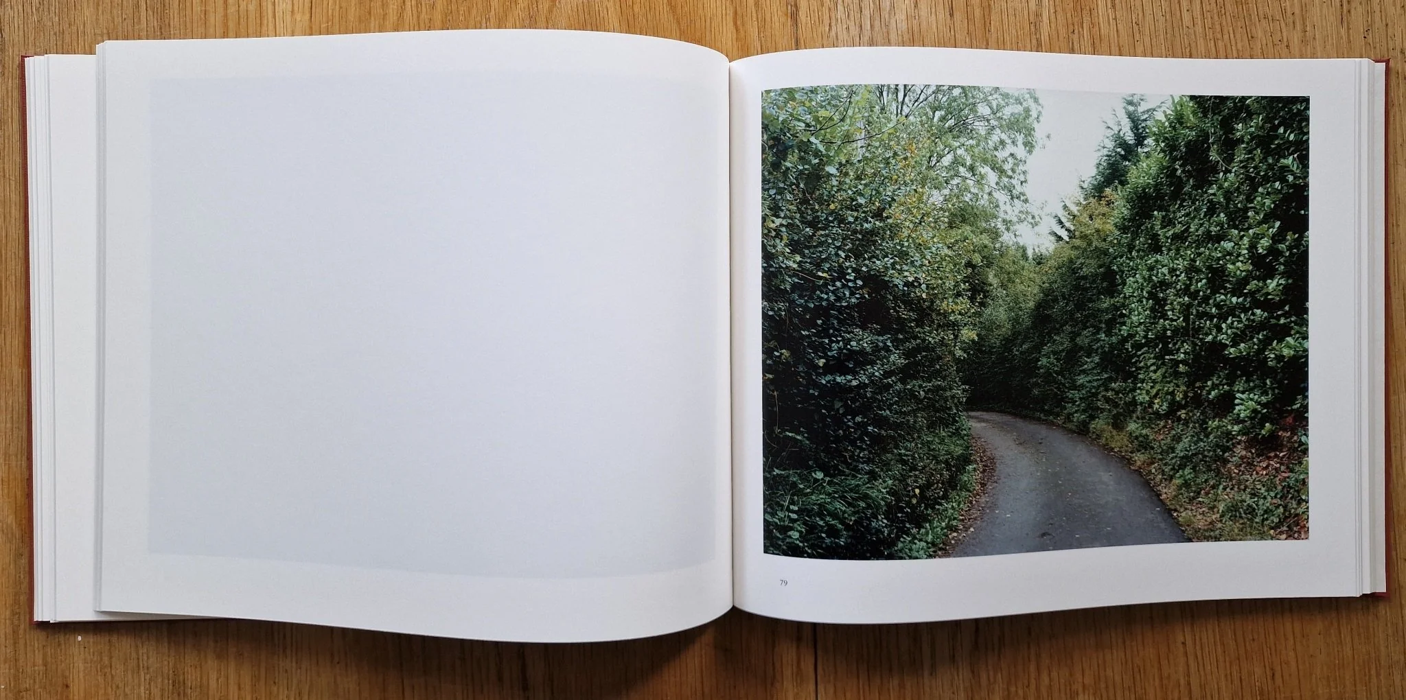 Harrowdown Hill - Image 5
