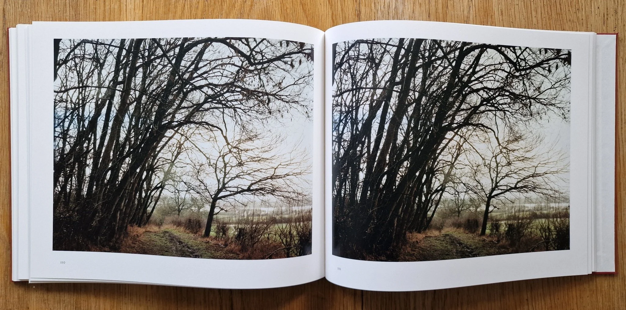 Harrowdown Hill - Image 6