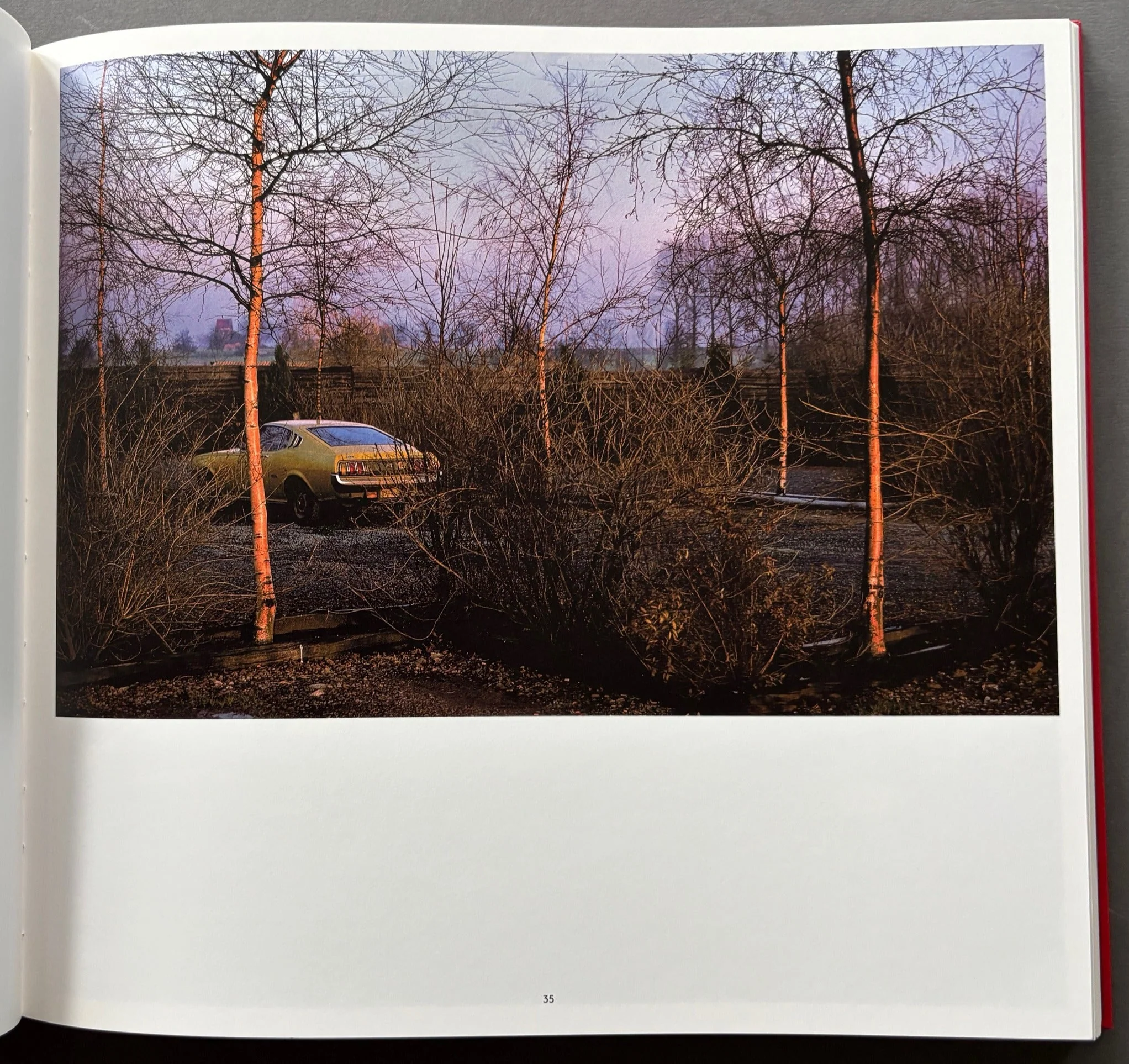 Harry Gruyaert - Image 3