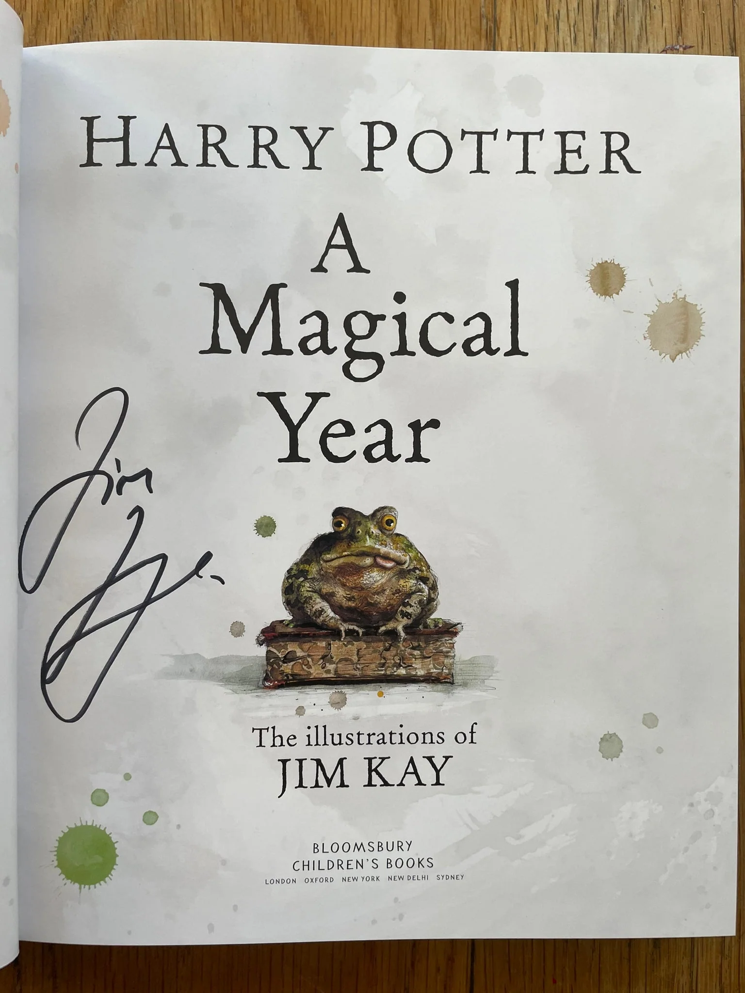Harry Potter: A Magical Year - Image 2