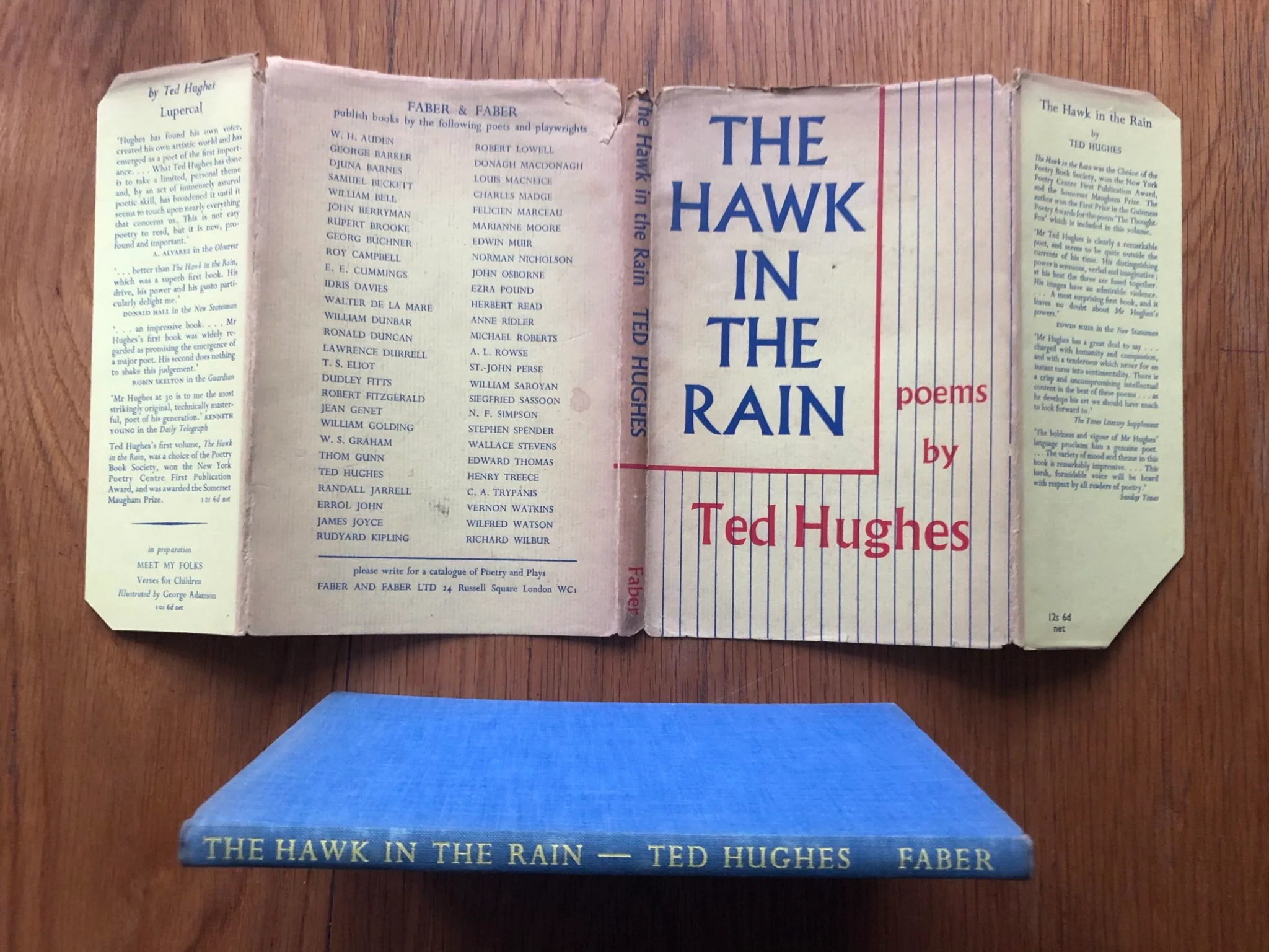 Hawk in the Rain - Image 5