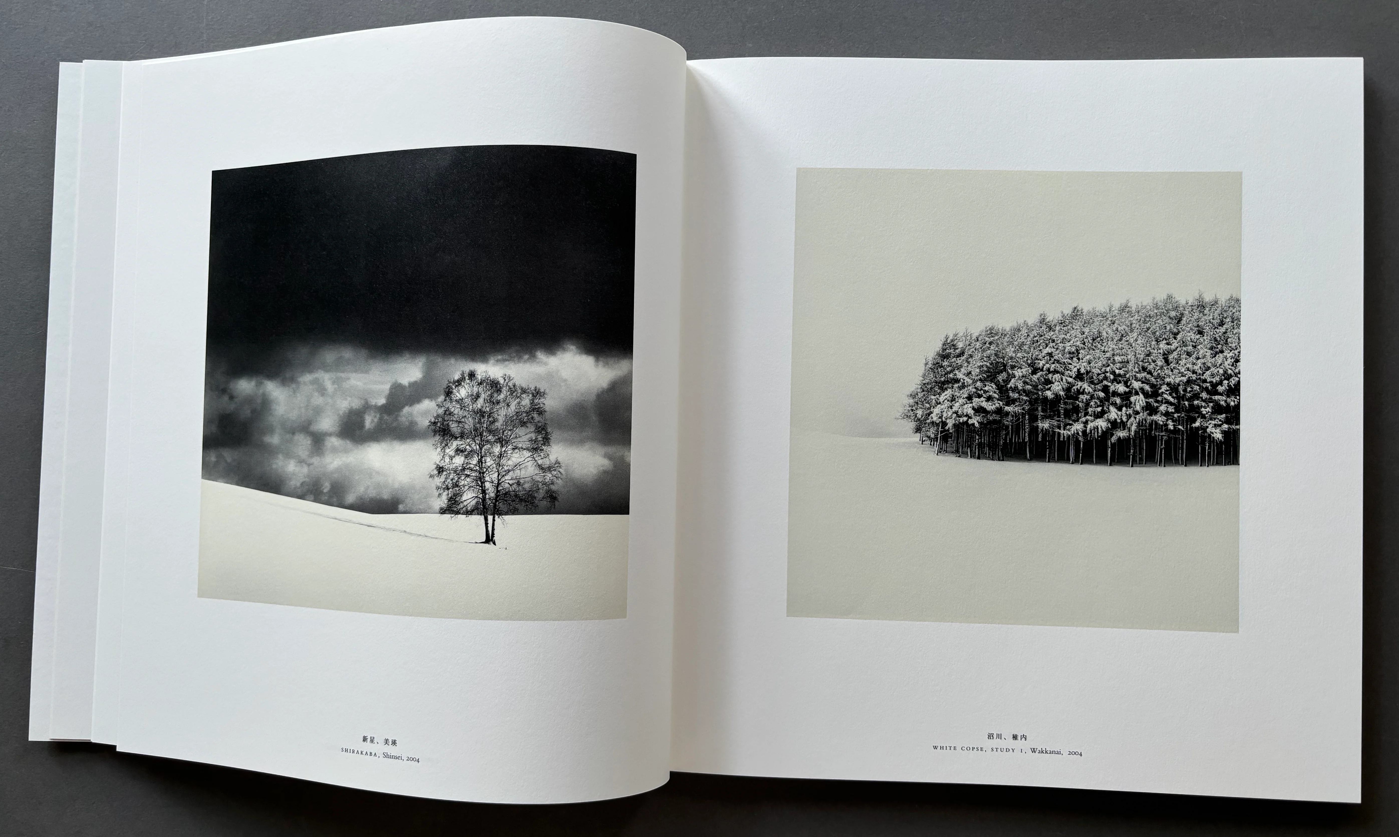 Hokkaido - Image 4