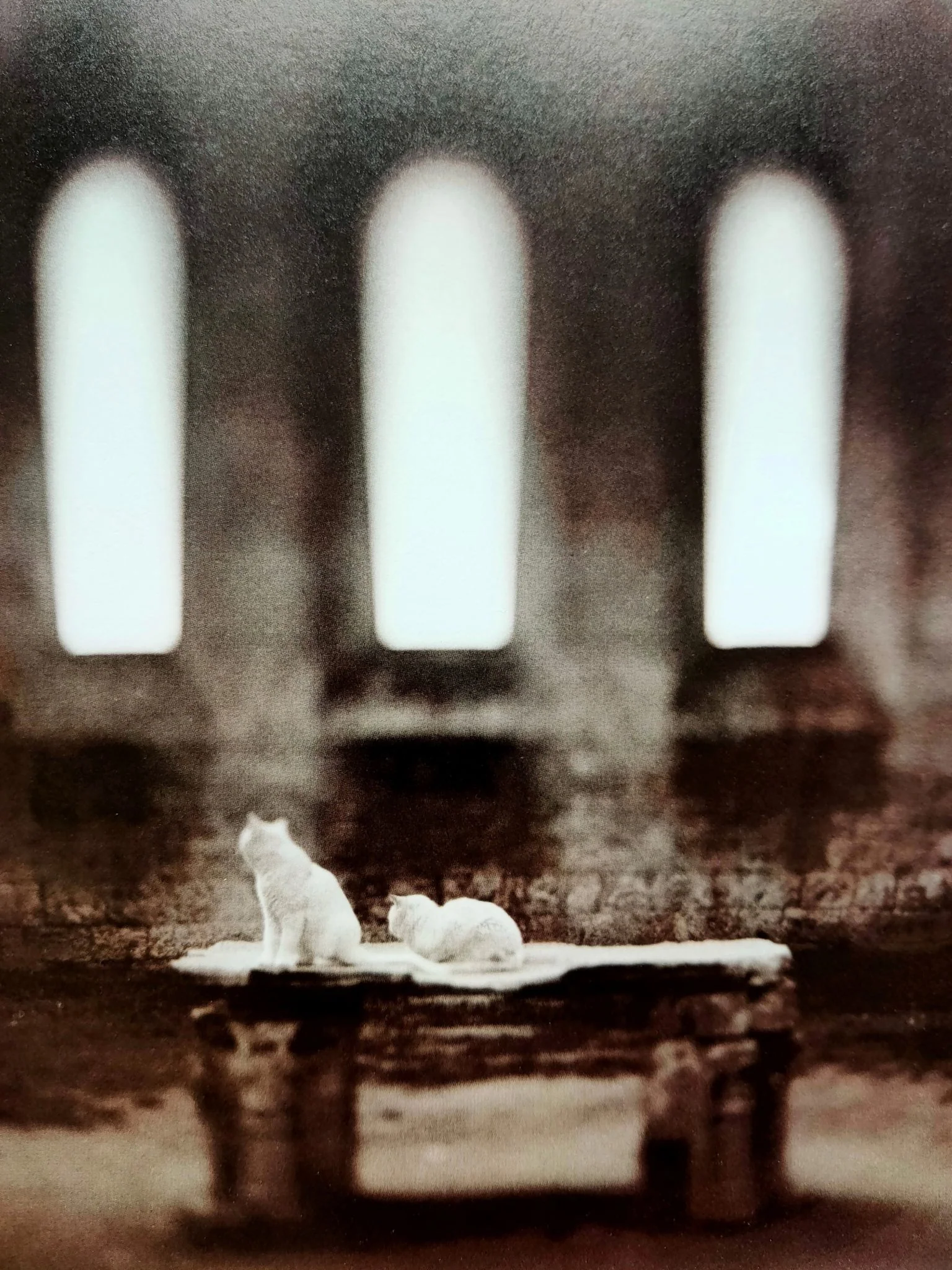 Holding Venus - Image 4