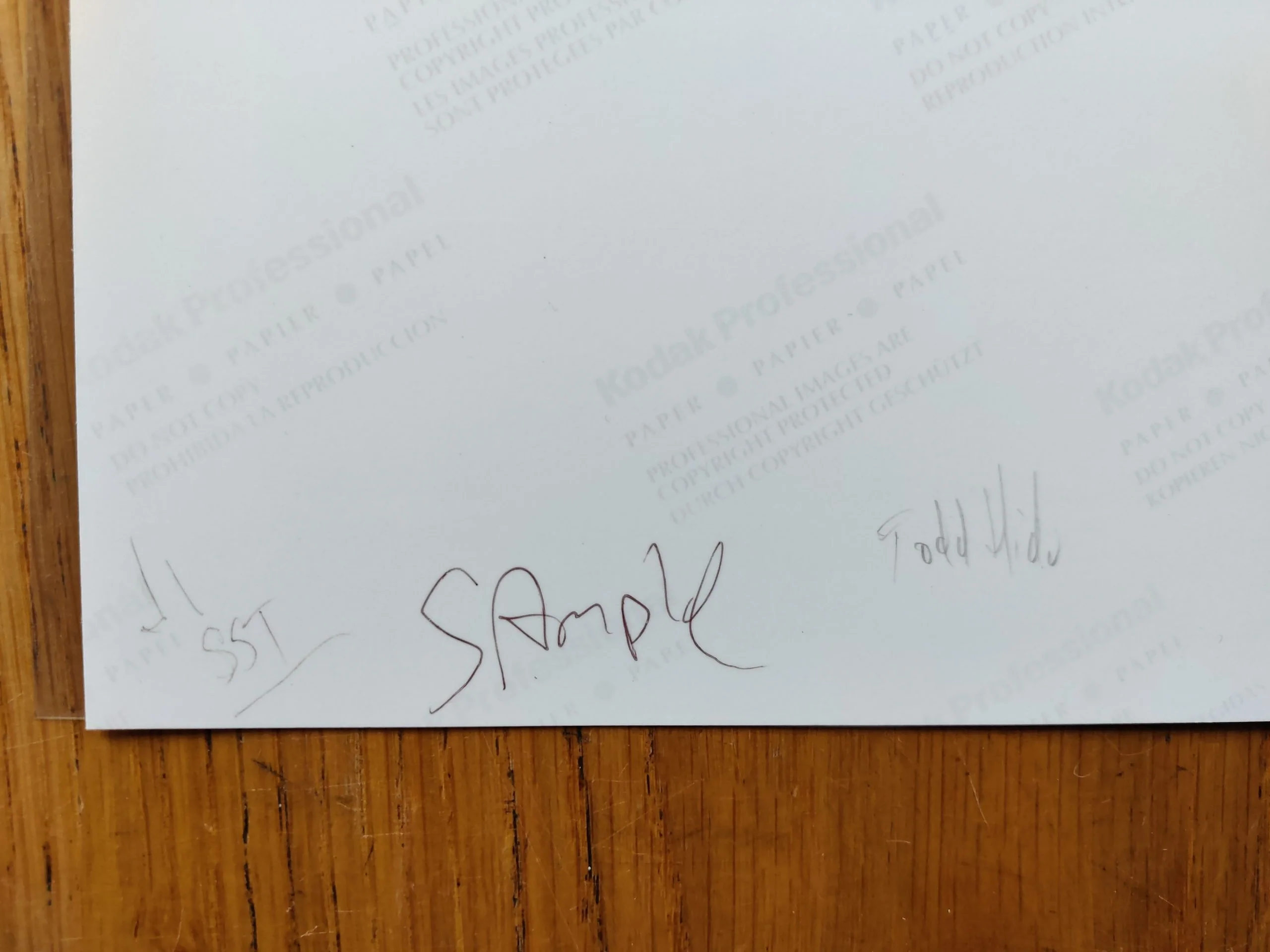 House Hunting (Signed 1st edition with a Signed Print) - Image 3