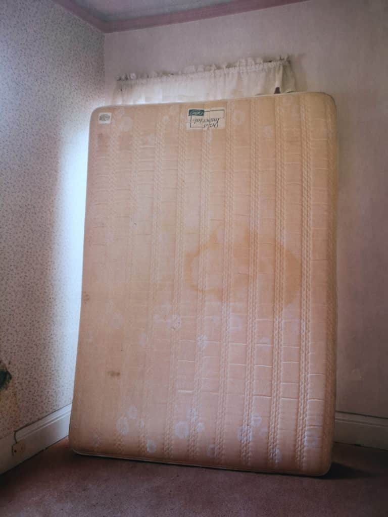 House Hunting - Signed Special Slipcased Edition - Image 8