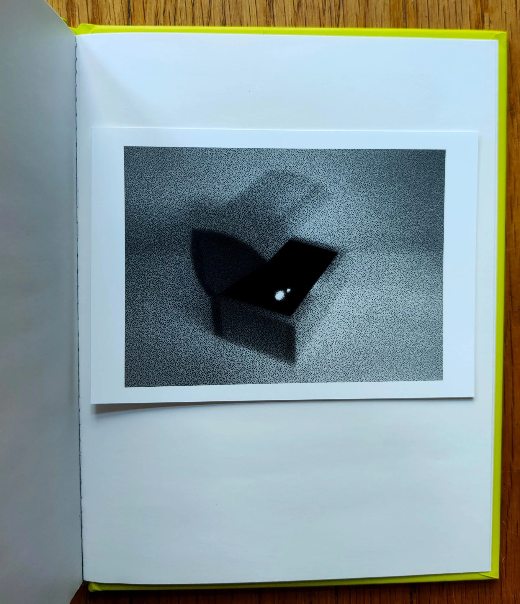 How to Make a Pearl (One Picture Book) - Image 3
