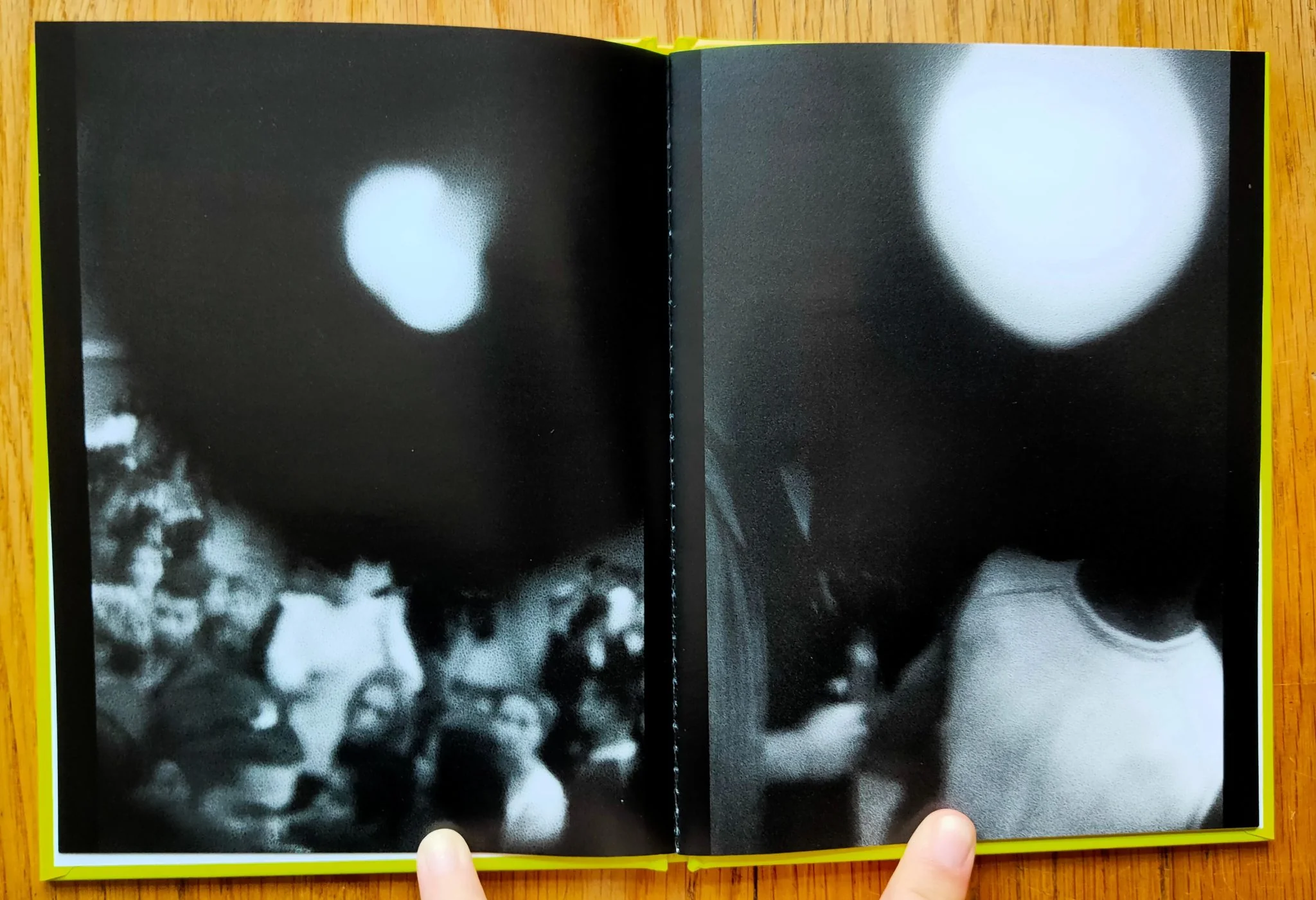 How to Make a Pearl (One Picture Book) - Image 5