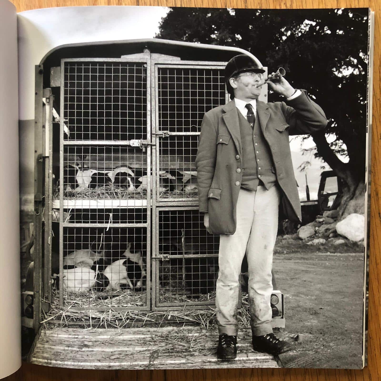 Hunting with Hounds - Image 4