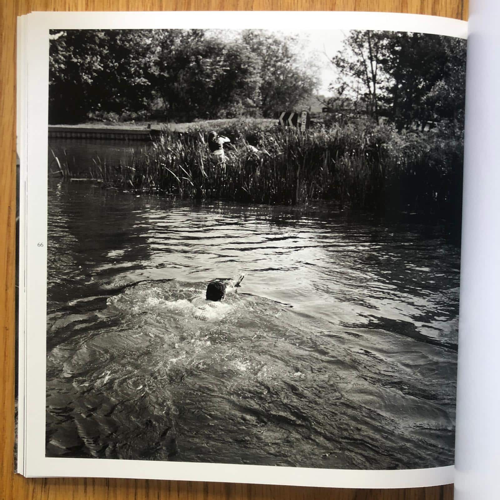 Hunting with Hounds - Image 6