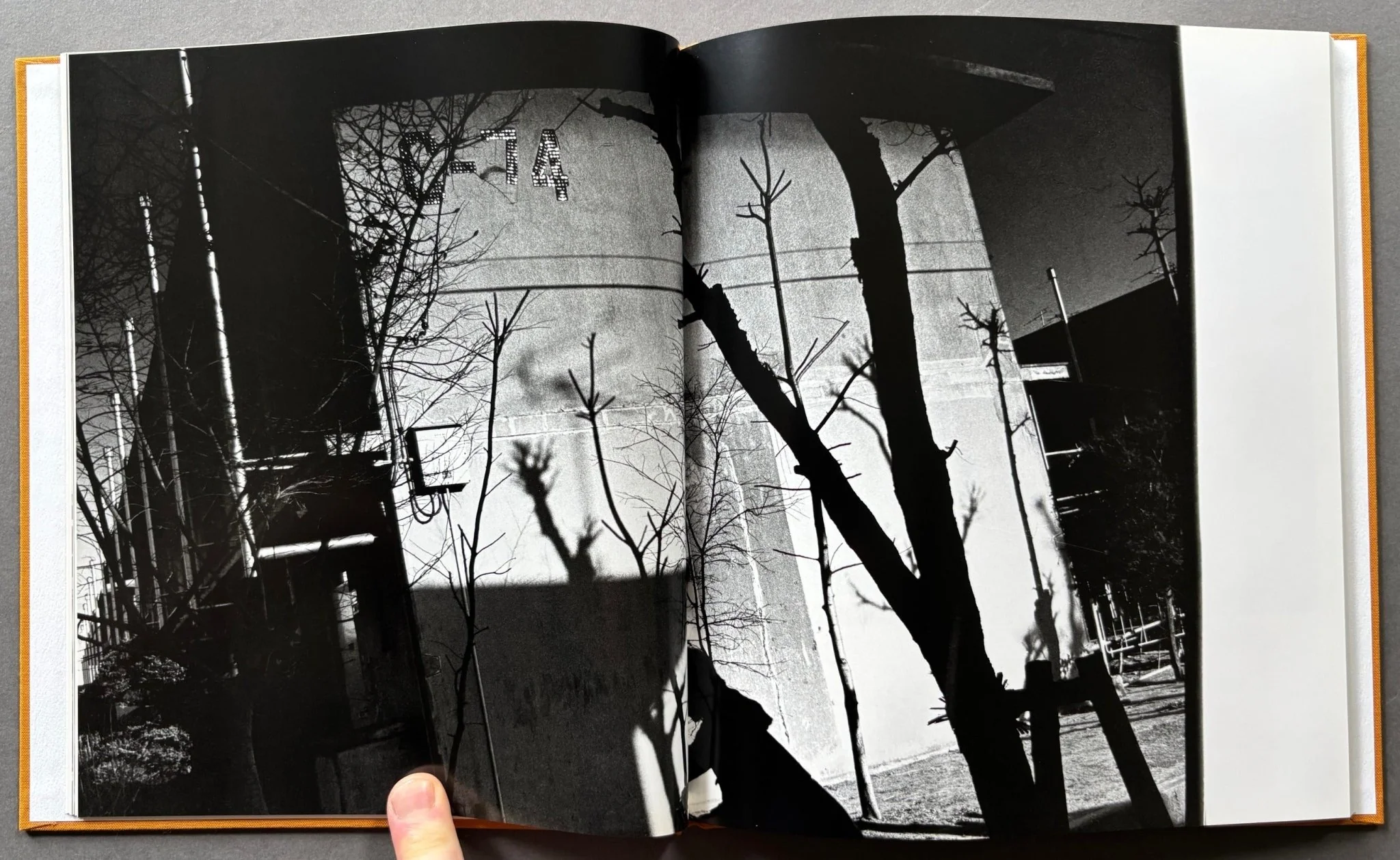 Hysteric Twelve - Image 2