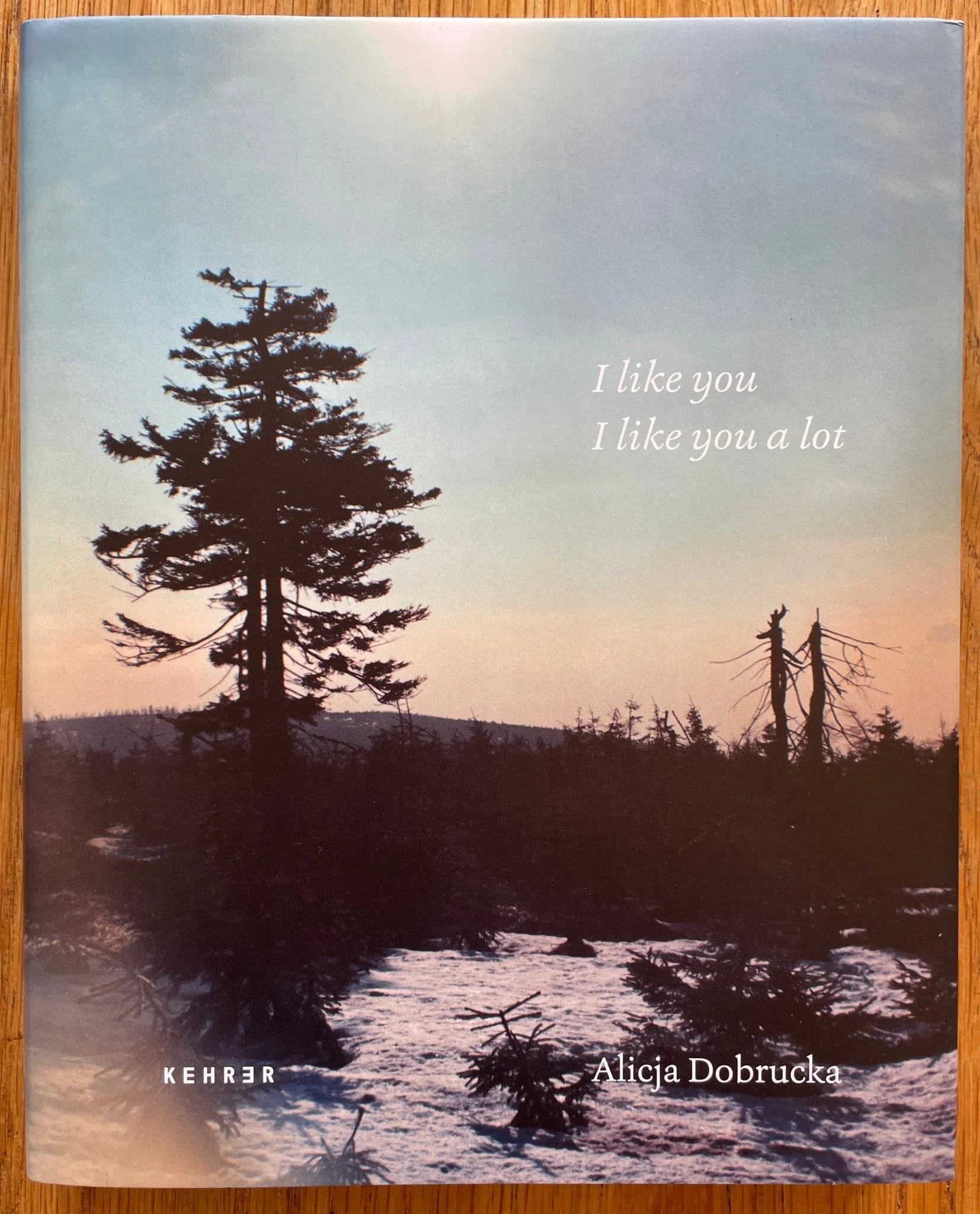 I Like you I like you a lot