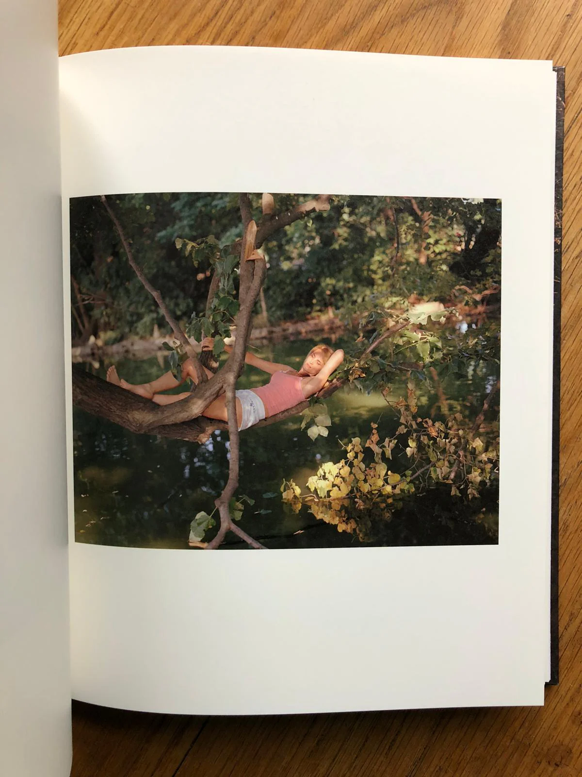 In Plain Air - Image 3