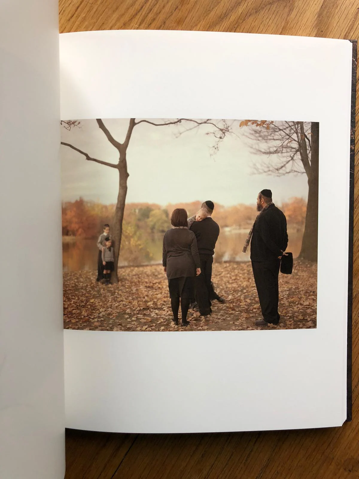 In Plain Air - Image 4