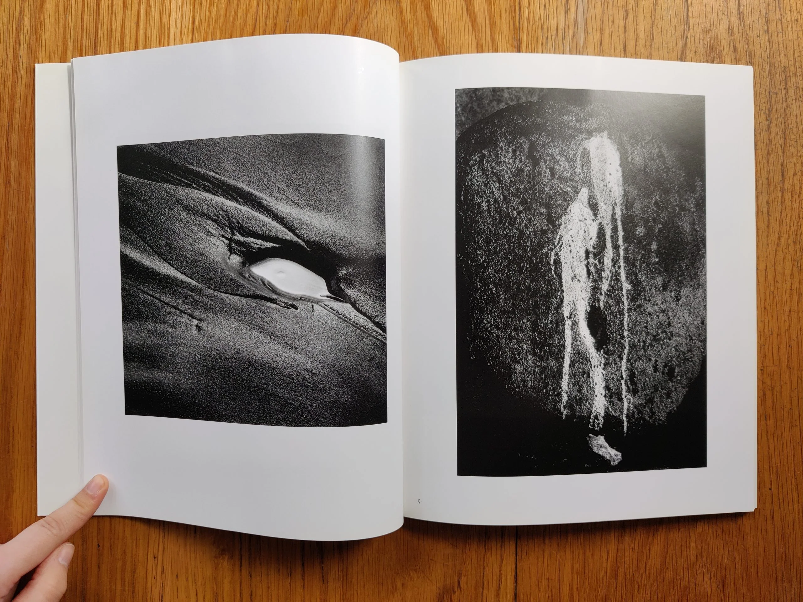 In the Nature of Things - Image 2