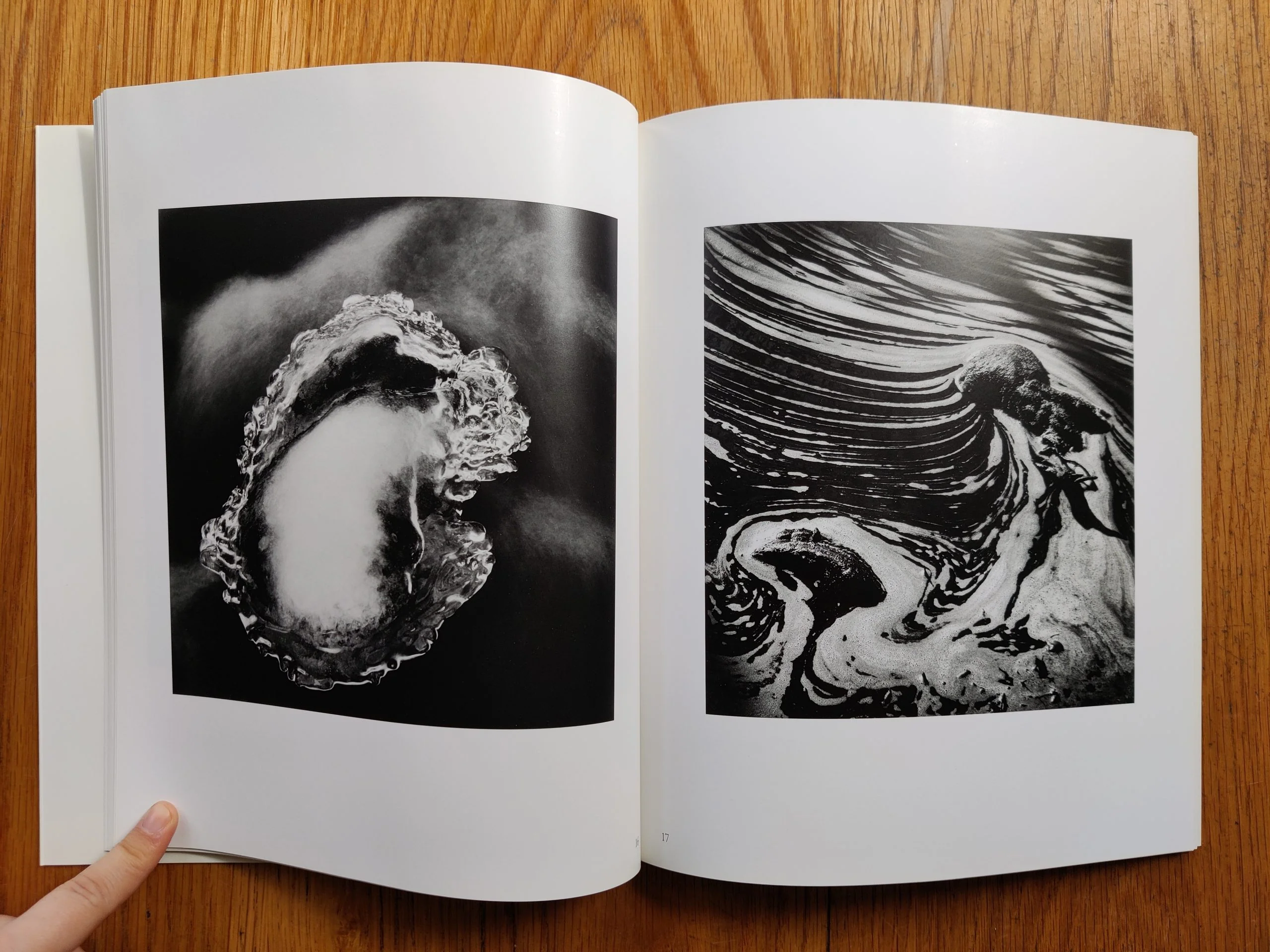In the Nature of Things - Image 4