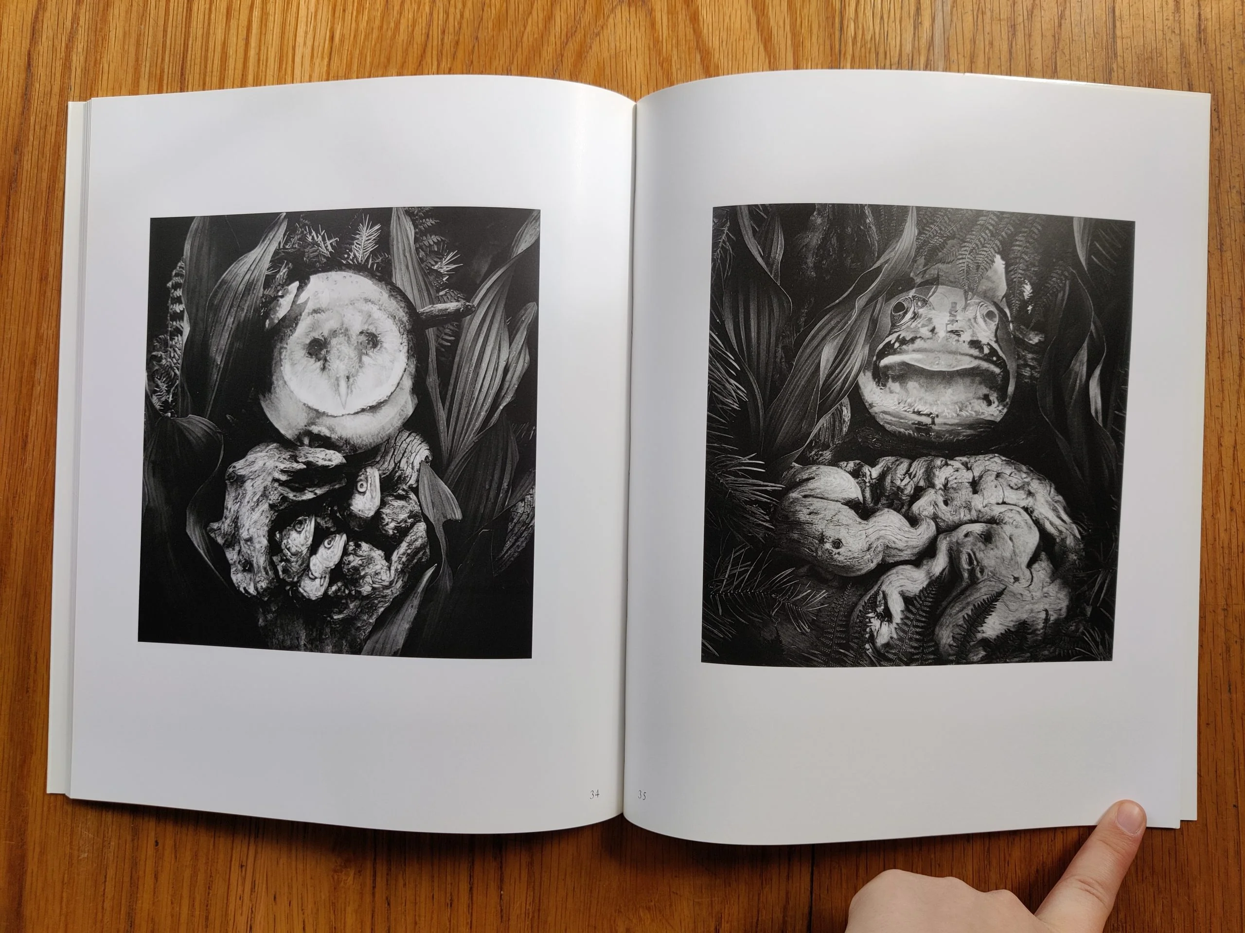 In the Nature of Things - Image 6