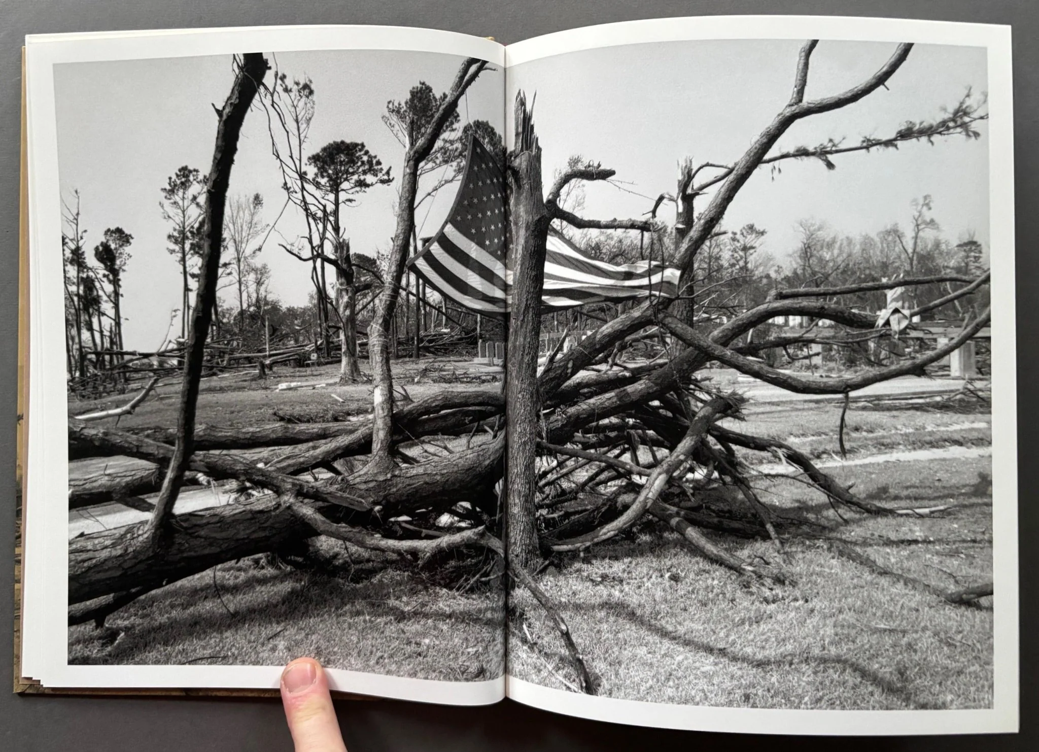 In The Wake of Katrina - Image 2