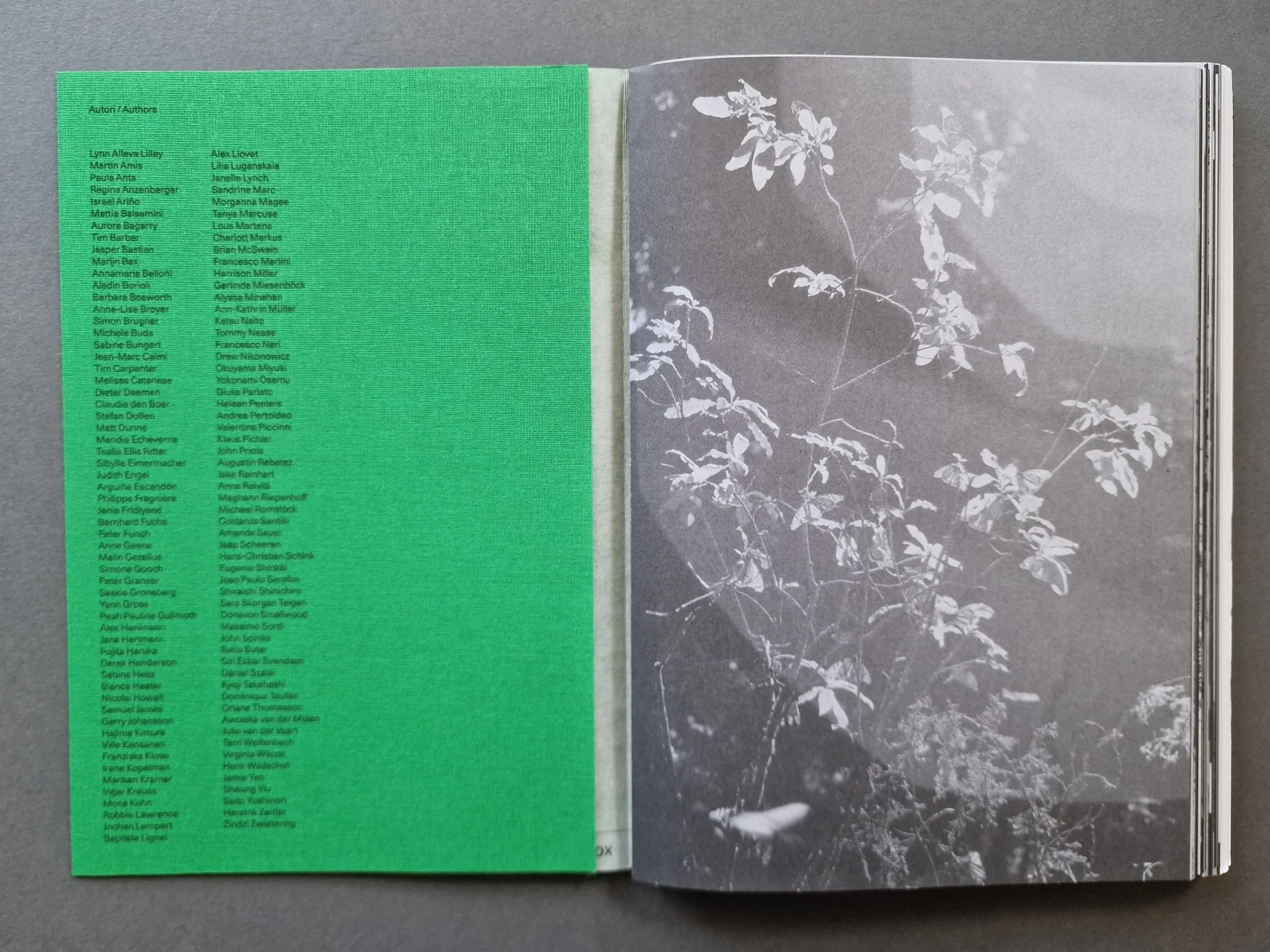 Index Naturae Revisited - AAVV - Image 2