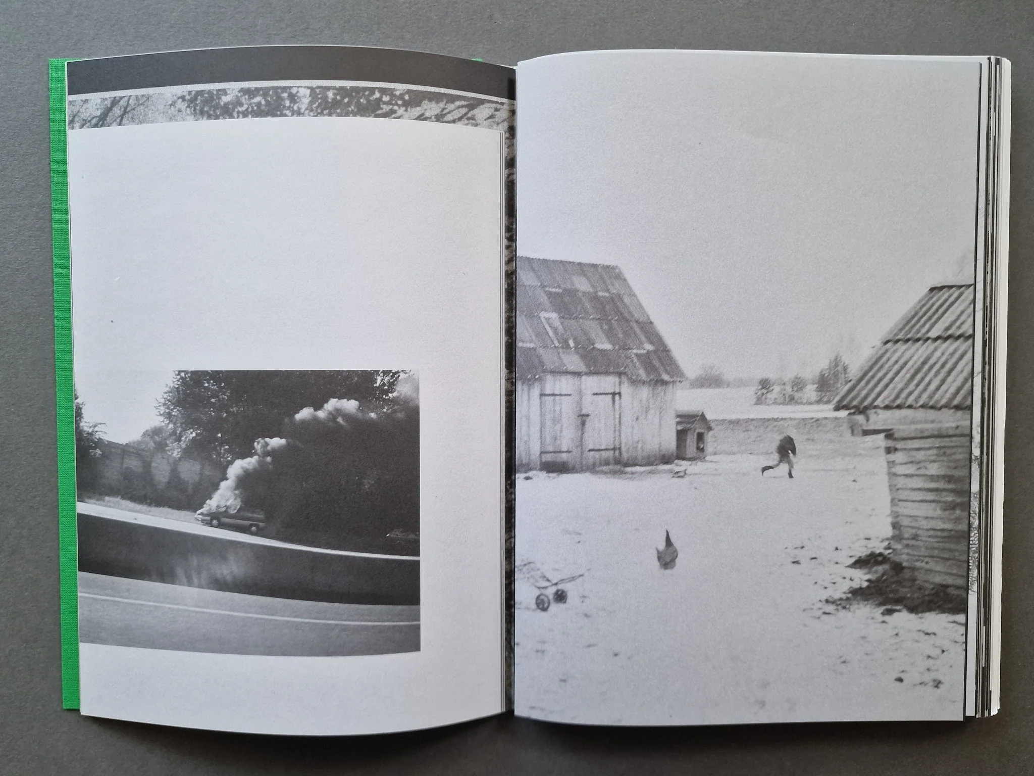 Index Naturae Revisited - AAVV - Image 3