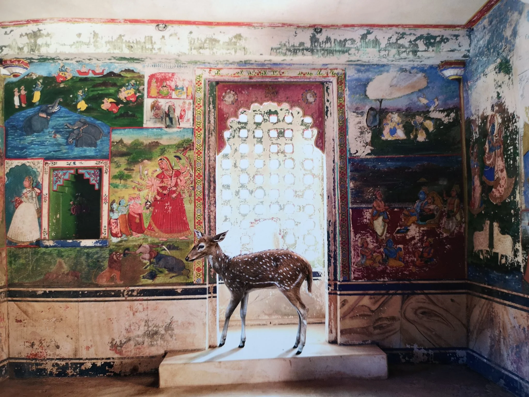 India Song - Image 6