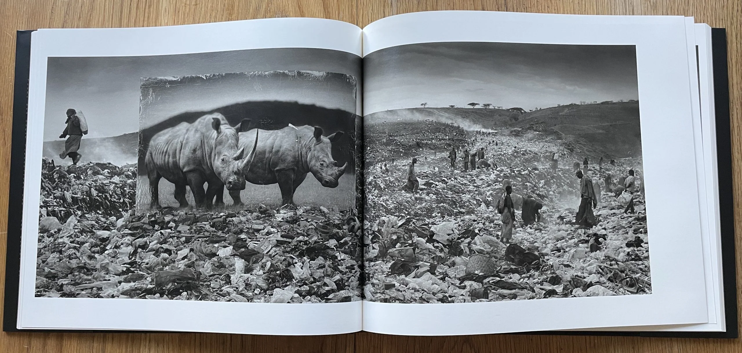 Inherit the Dust - Image 5