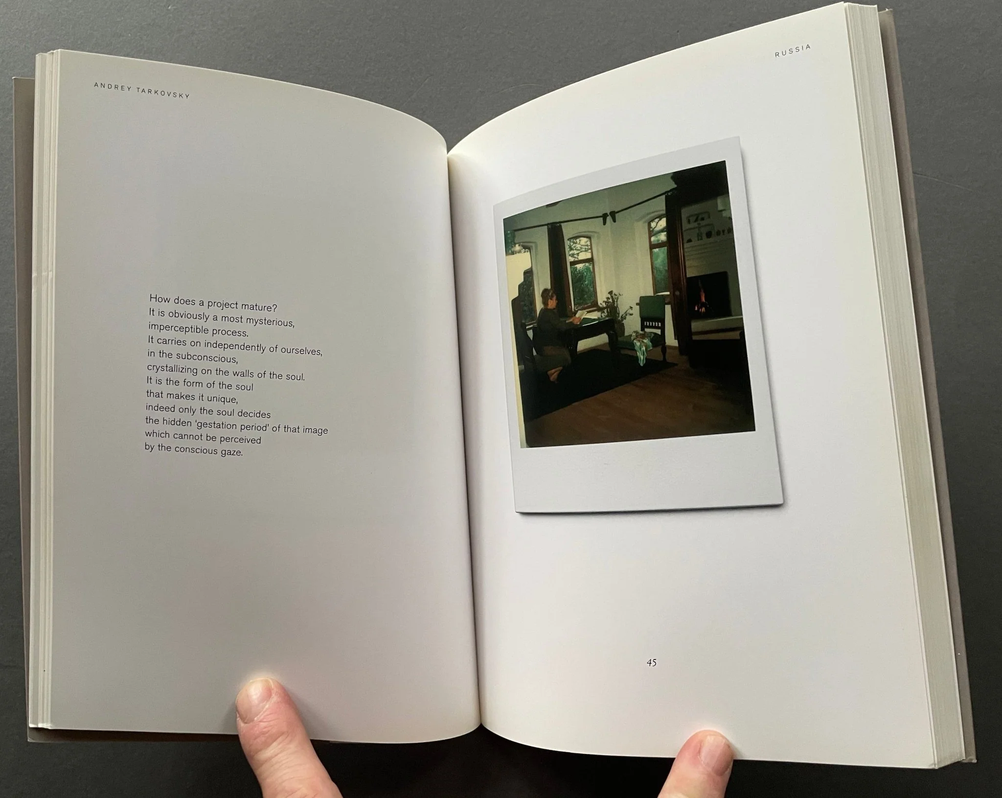 Instant Light: Tarkosvky Polaroids - Image 4