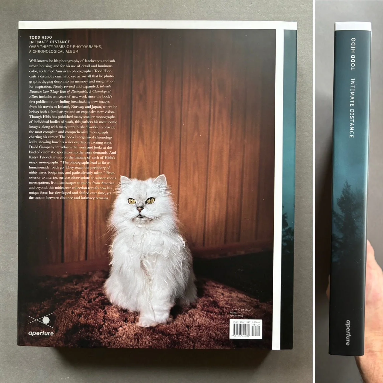 Intimate Distance - Image 6
