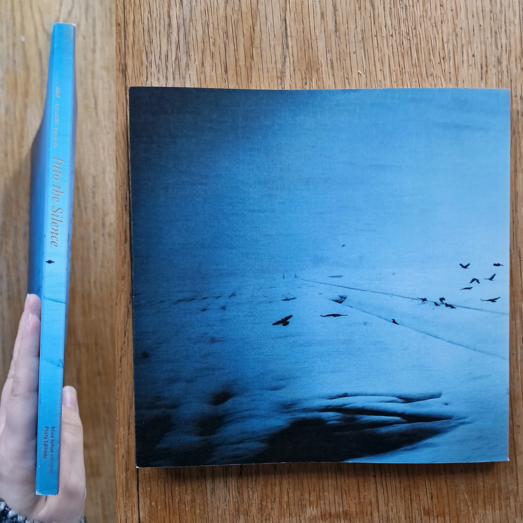 Into the Silence - Image 12
