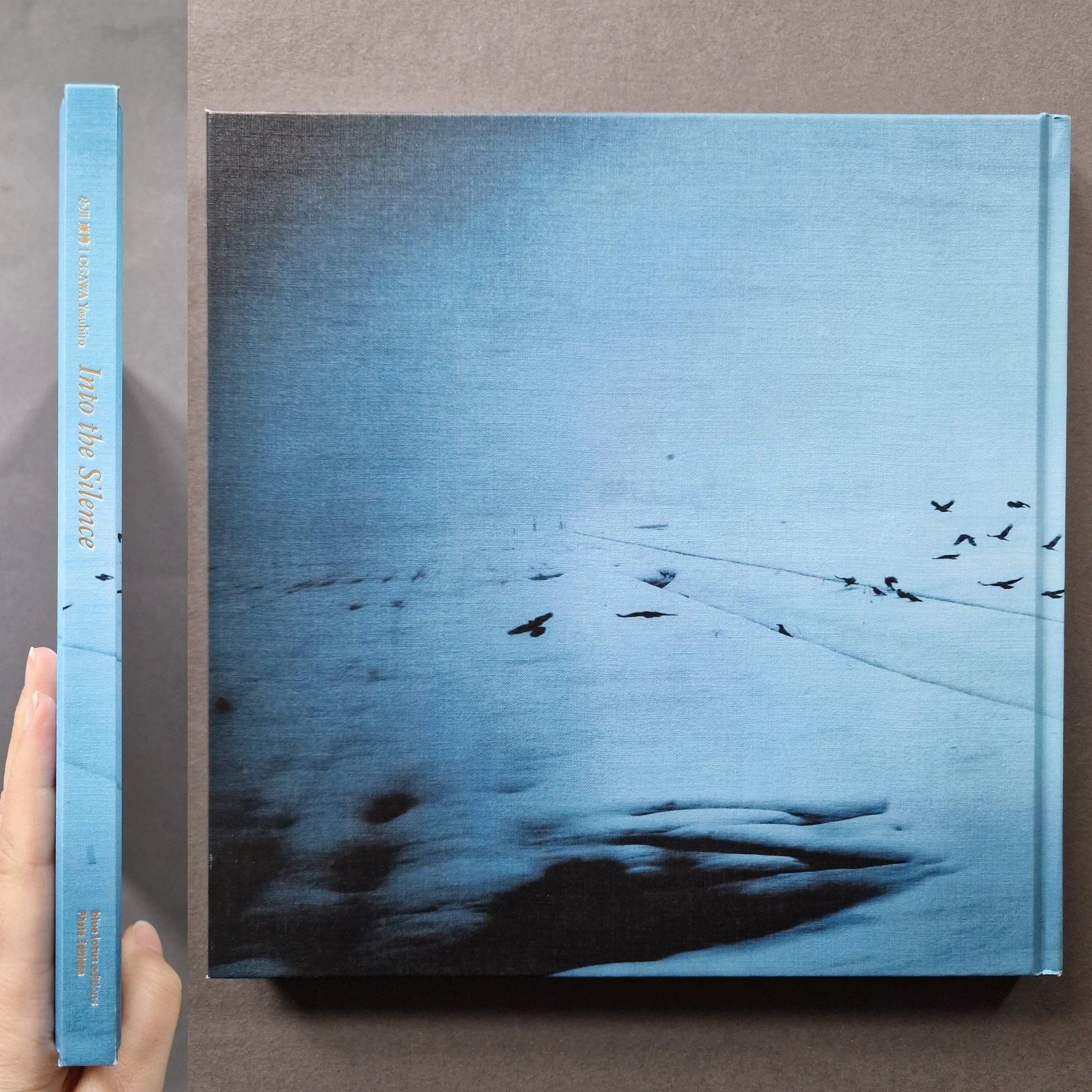 Into the Silence - Image 8