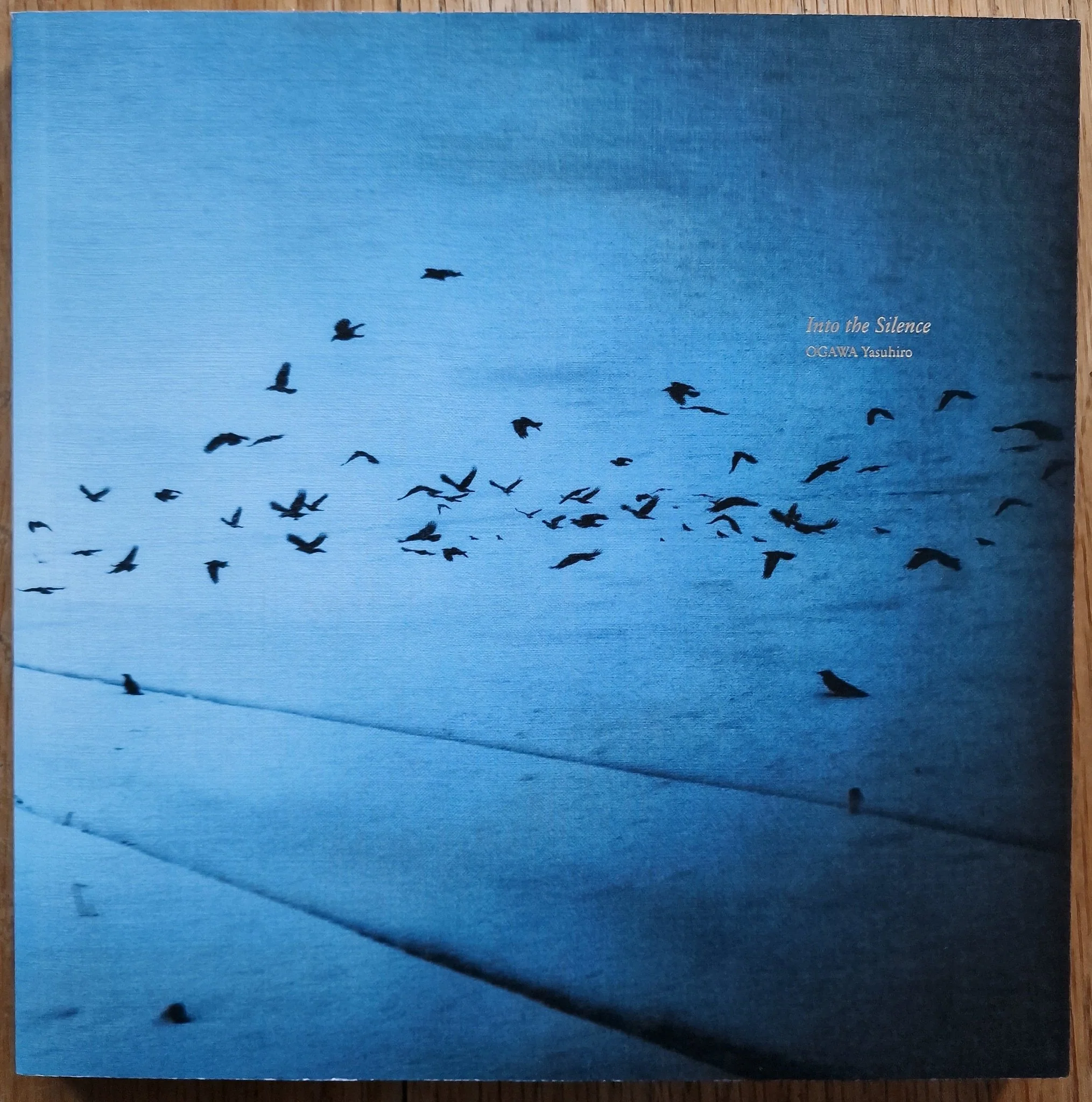 Into the Silence - Image 9