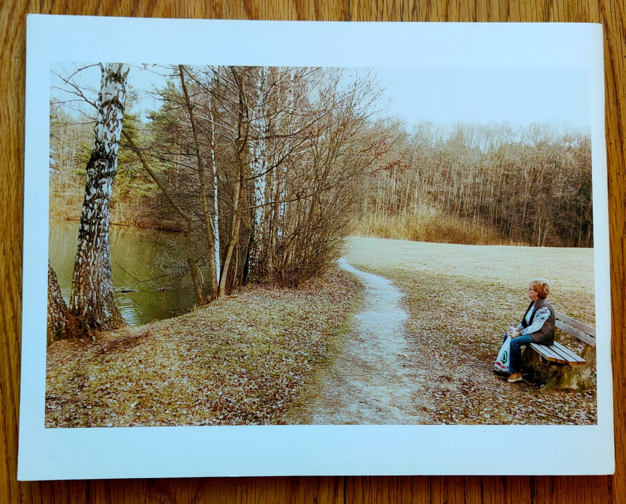 Irene im Wald - Image 9