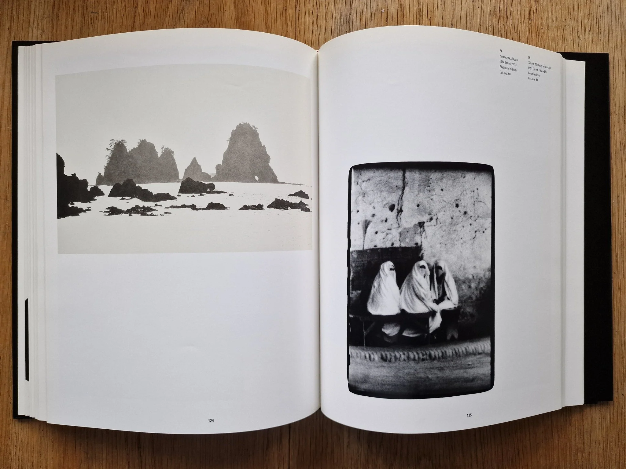 Irving Penn: A Career in Photography - Image 6