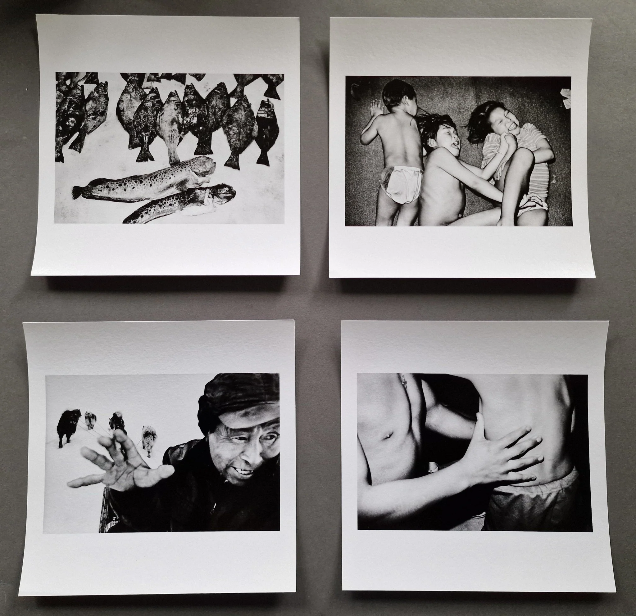 James´ House Print Collection - Image 5