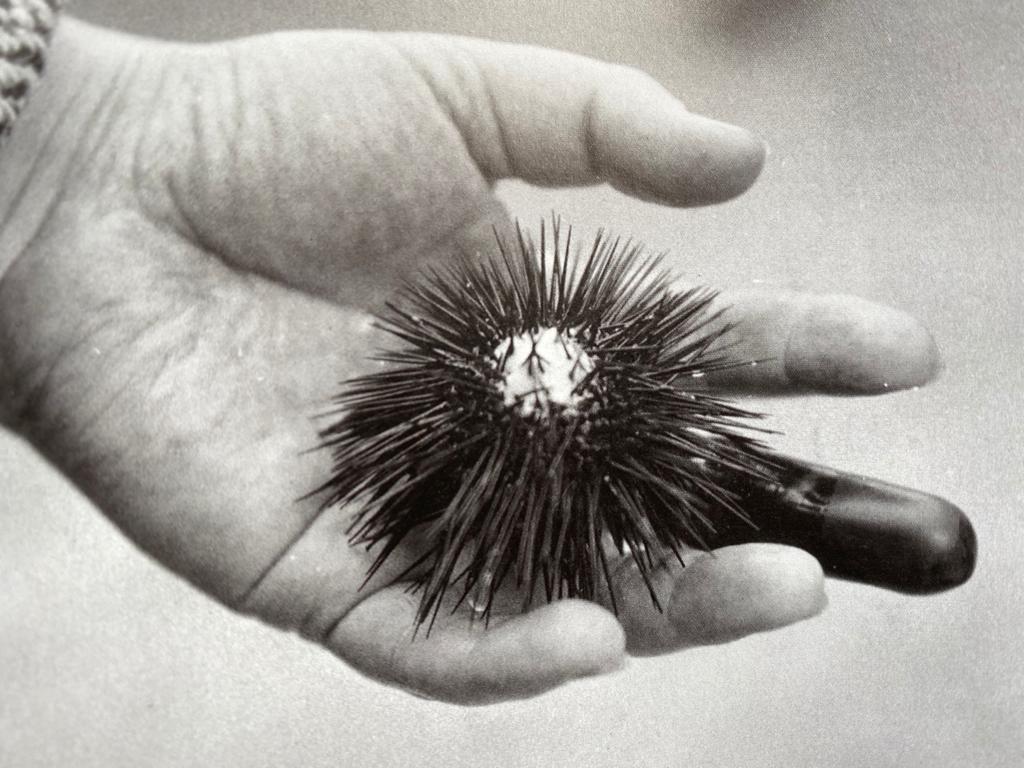 Jeux de mains - Image 3