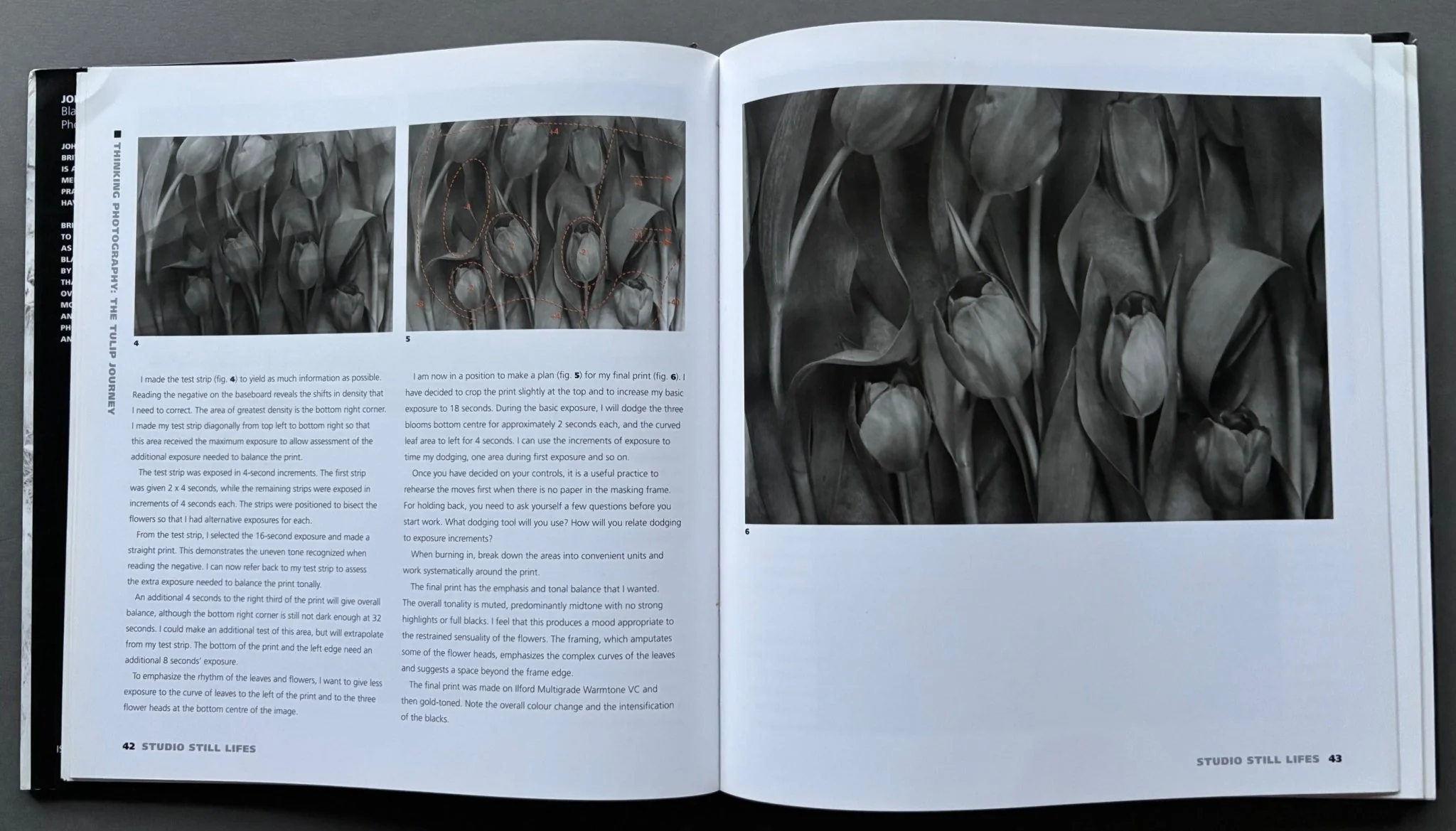 John Blakemore's Black and White Photography Workshop - Image 2