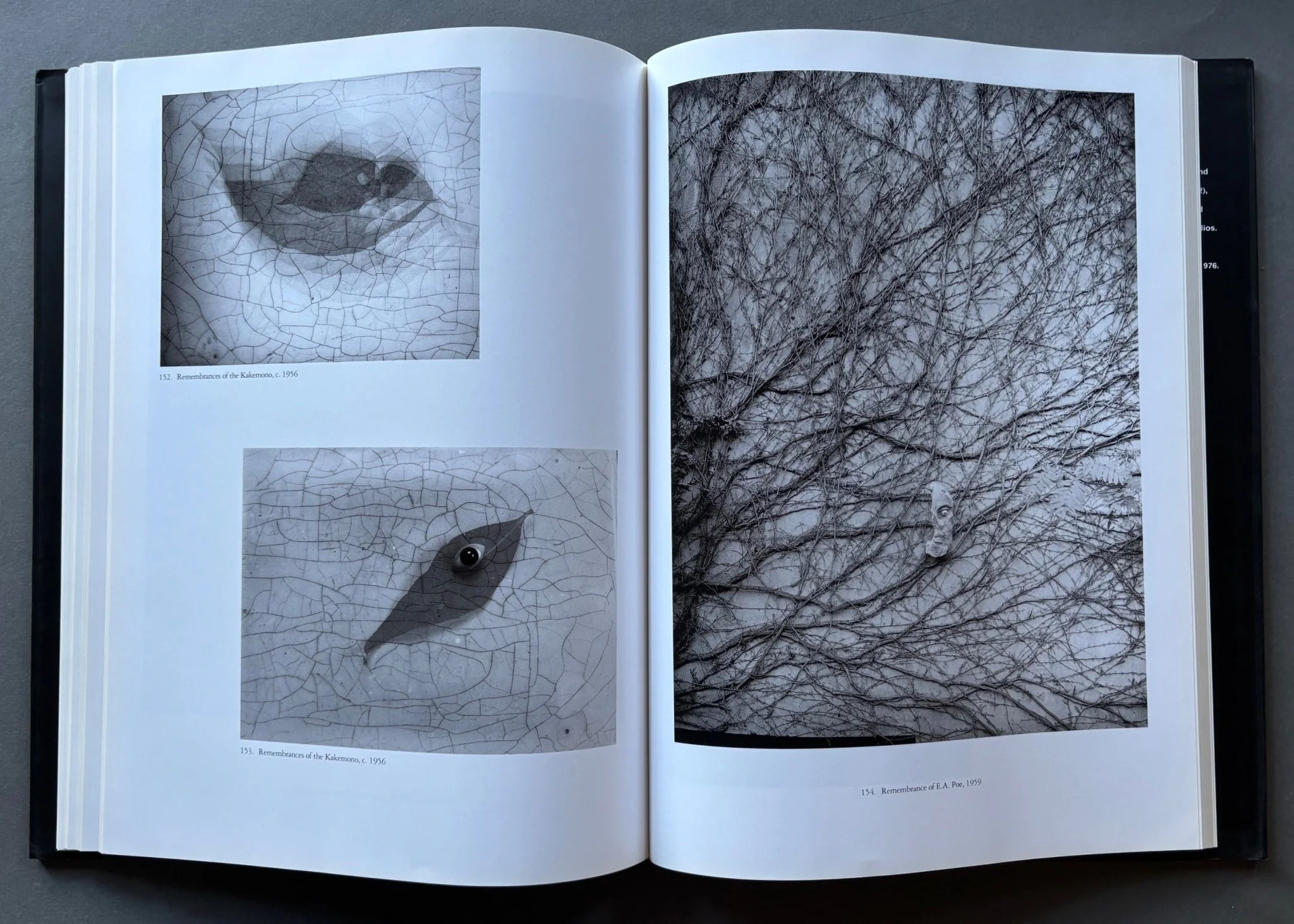 Josef Sudek - Image 5