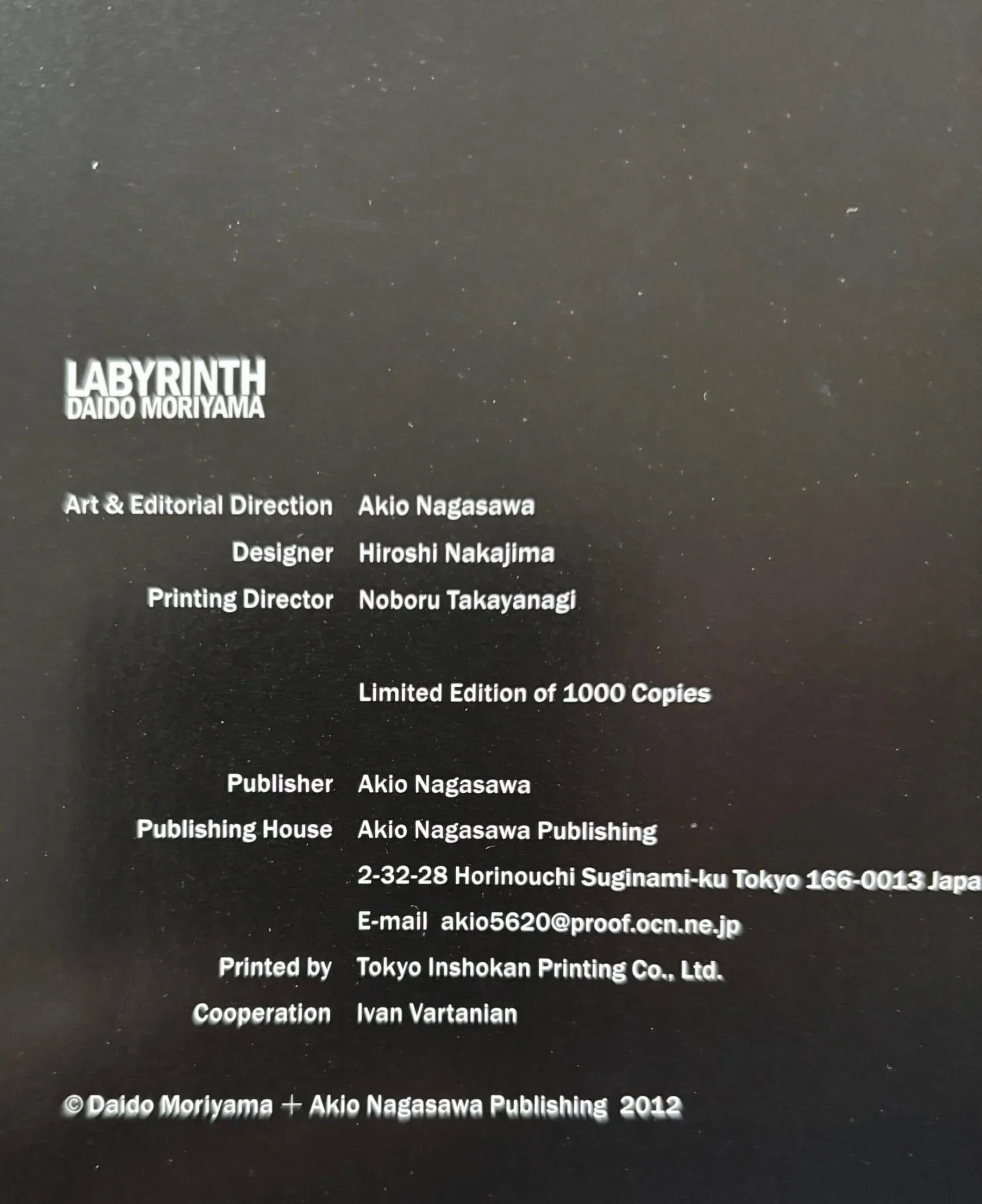 Labyrinth - Image 6