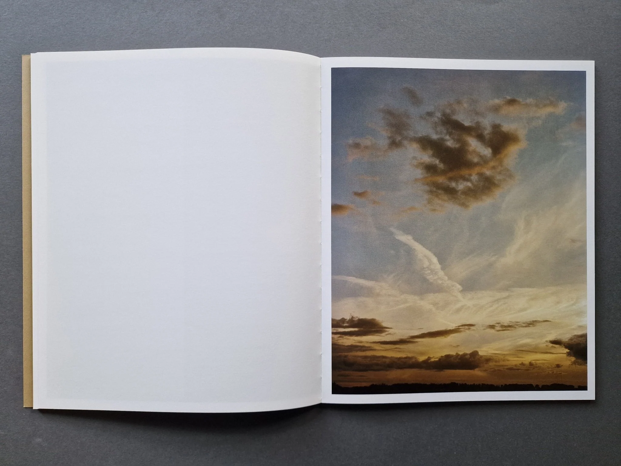 Land Loss - Image 5
