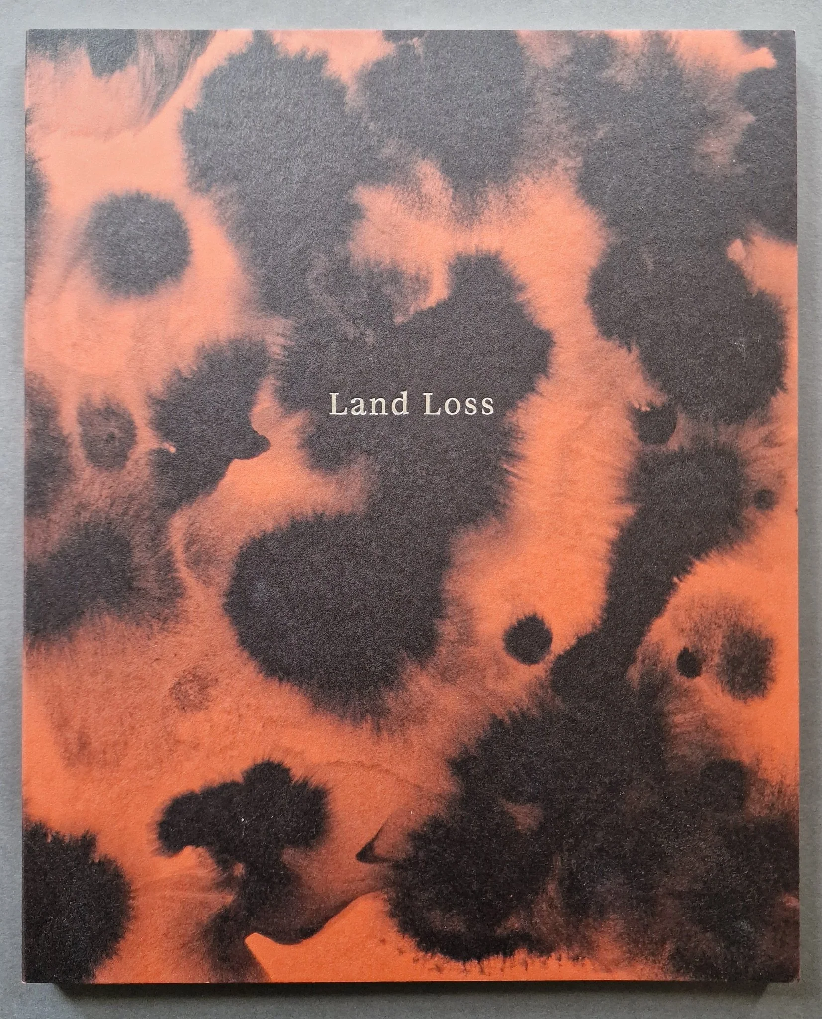 Land Loss - Image 9
