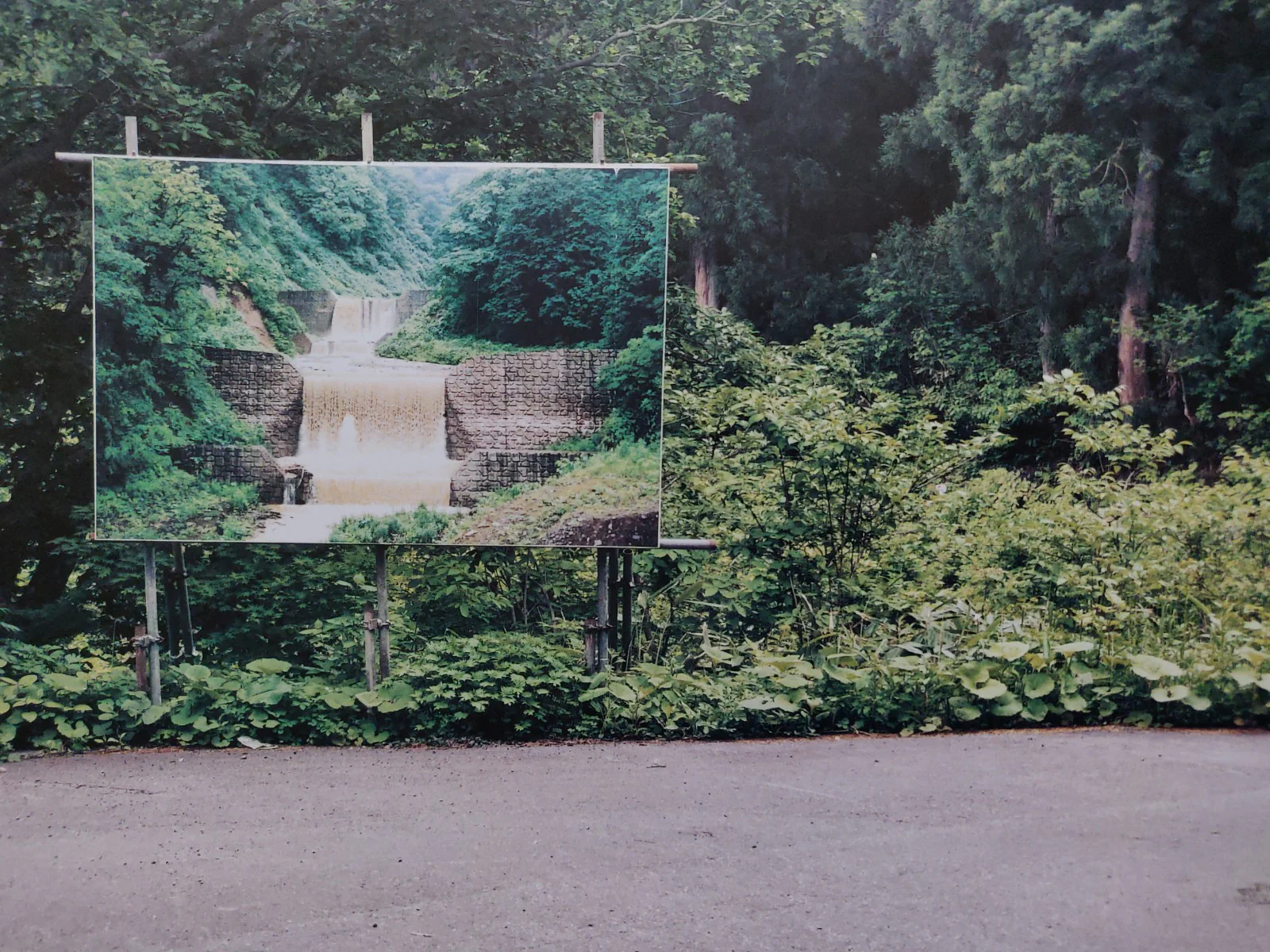 Landscape 2 - Image 3